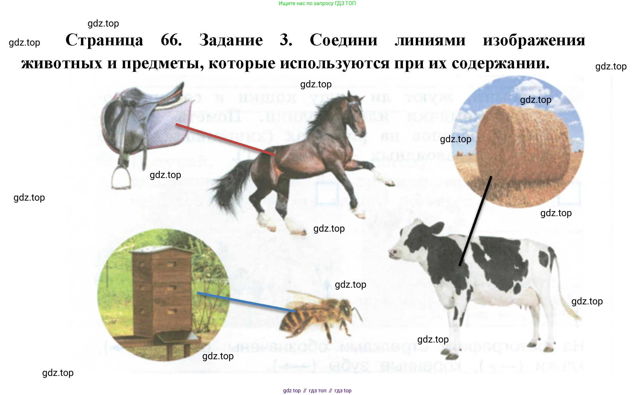 ГДЗ Окружающий мир, 2 класс рабочая тетрадь, авторы: Вахрушев Александр Александрович, Ловягин С Н, Зорин Н В, Кремлева И И, издательство Просвещение, Москва, салатового цвета, Часть 1, страница 66, номер 3, Решение