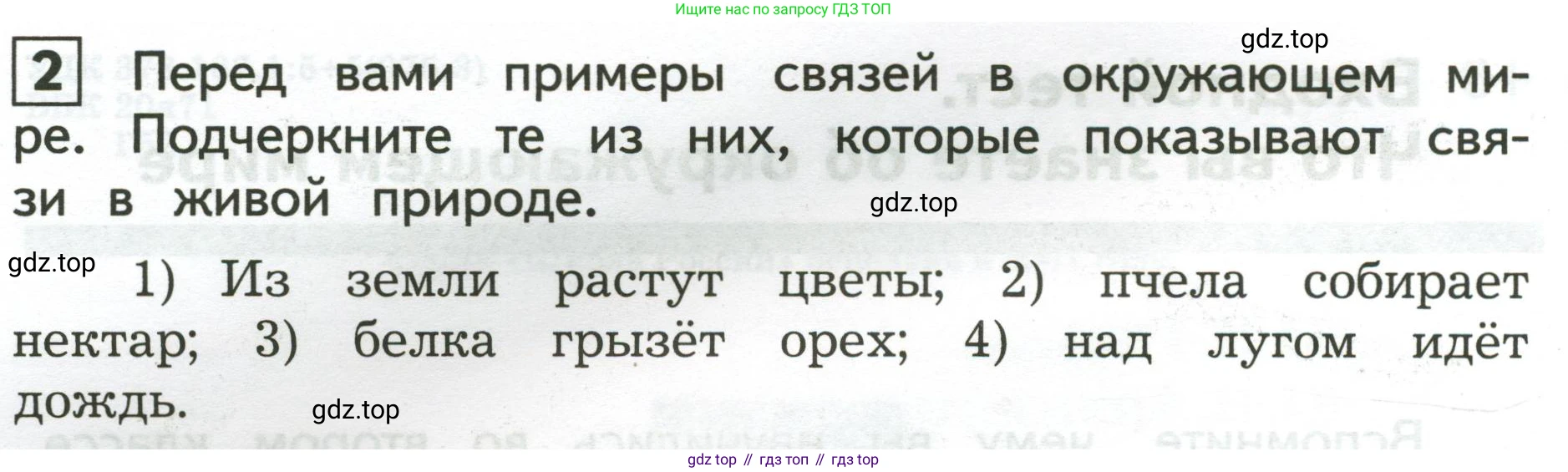 Окружающий мир, 3 класс Предварительный контроль, текущий контроль, итоговый контроль, авторы: Глаголева Юлия Игоревна, Архипова Ю И, издательство Просвещение, Москва, 2023, белого цвета, страница 4, номер 2, Условие