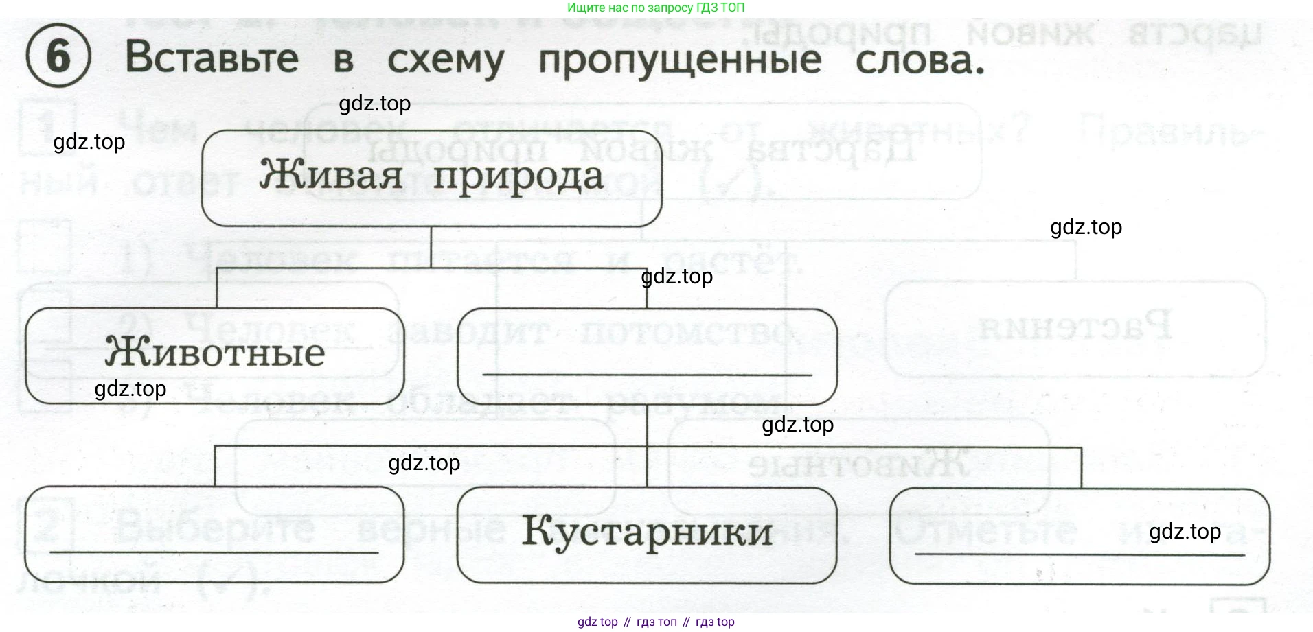 Окружающий мир, 3 класс Предварительный контроль, текущий контроль, итоговый контроль, авторы: Глаголева Юлия Игоревна, Архипова Ю И, издательство Просвещение, Москва, 2023, белого цвета, страница 5, номер 6, Условие