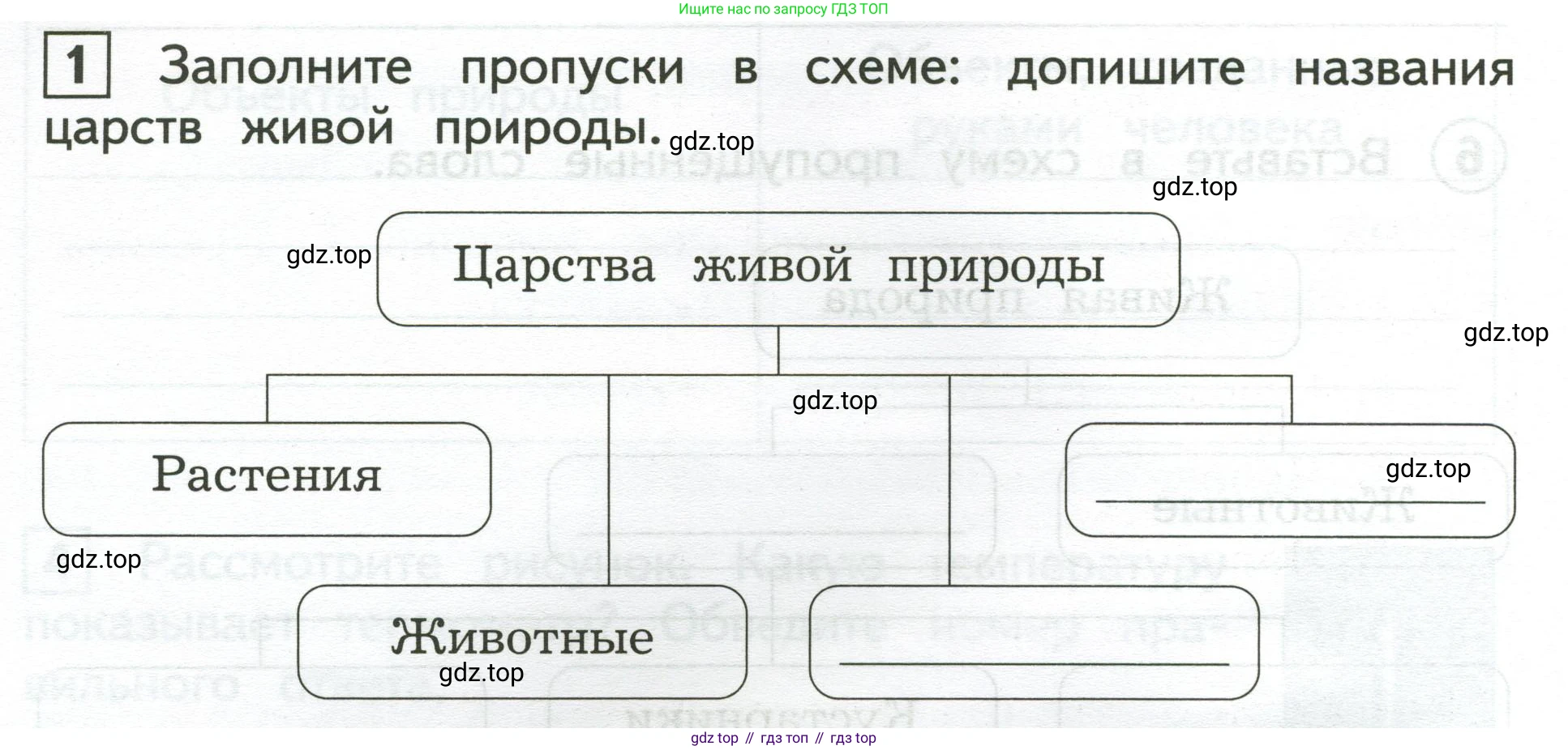 Окружающий мир, 3 класс Предварительный контроль, текущий контроль, итоговый контроль, авторы: Глаголева Юлия Игоревна, Архипова Ю И, издательство Просвещение, Москва, 2023, белого цвета, страница 6, номер 1, Условие