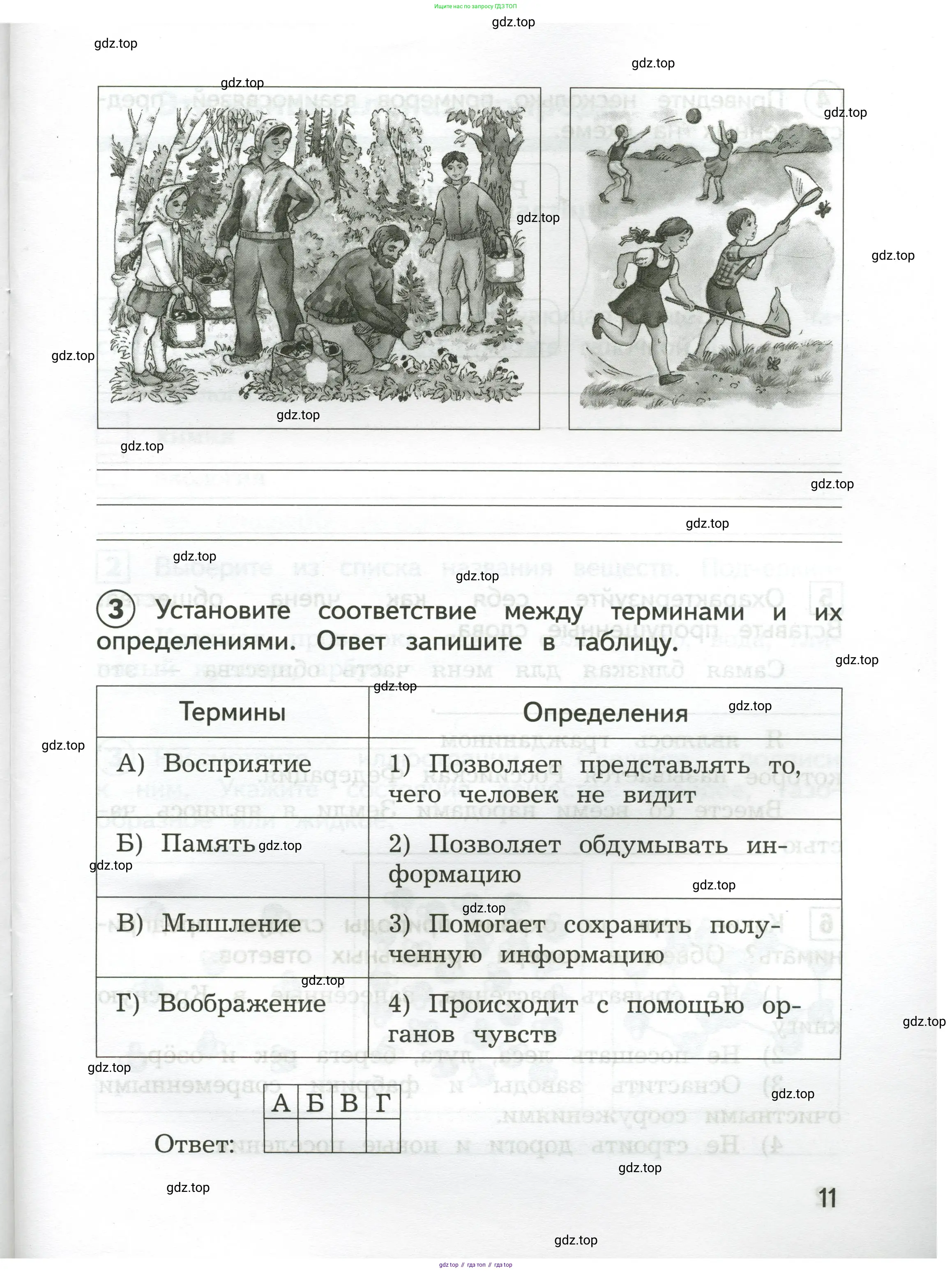 Окружающий мир, 3 класс Предварительный контроль, текущий контроль, итоговый контроль, авторы: Глаголева Юлия Игоревна, Архипова Ю И, издательство Просвещение, Москва, 2023, белого цвета, страница 11