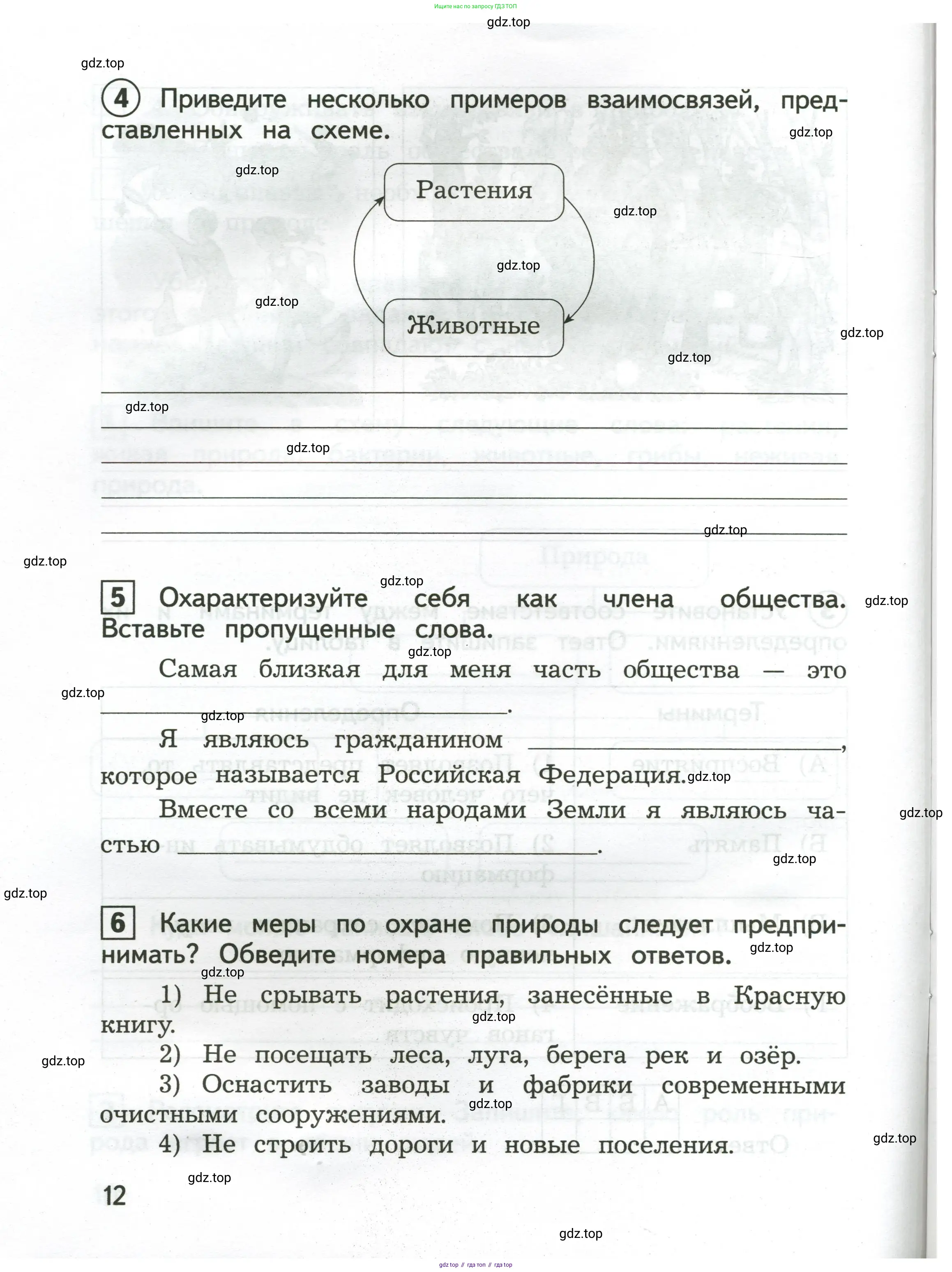 Окружающий мир, 3 класс Предварительный контроль, текущий контроль, итоговый контроль, авторы: Глаголева Юлия Игоревна, Архипова Ю И, издательство Просвещение, Москва, 2023, белого цвета, страница 12