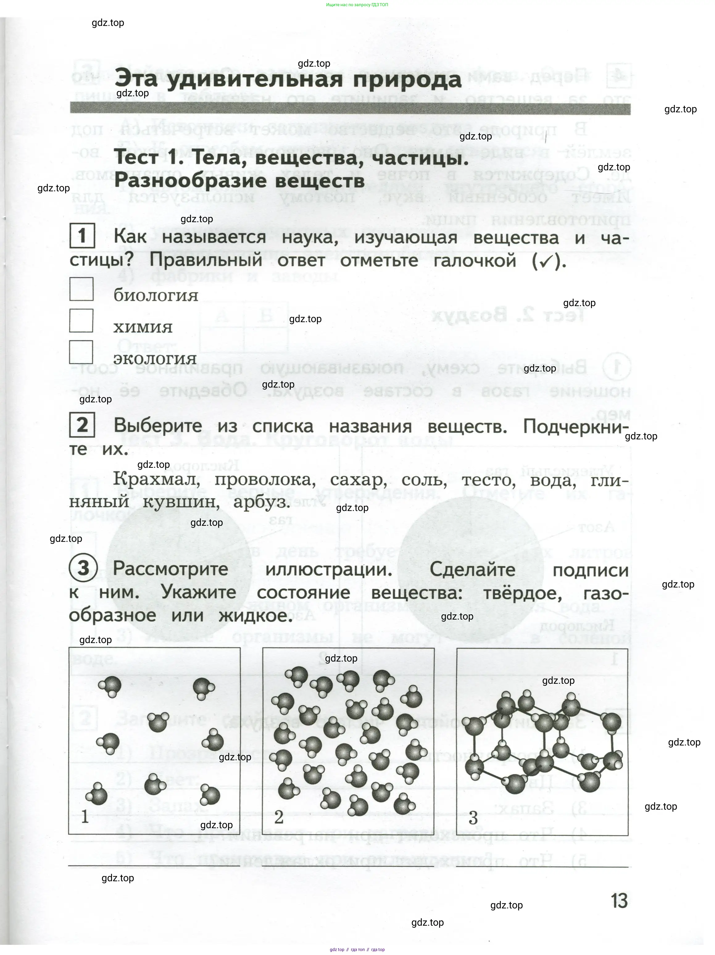 Окружающий мир, 3 класс Предварительный контроль, текущий контроль, итоговый контроль, авторы: Глаголева Юлия Игоревна, Архипова Ю И, издательство Просвещение, Москва, 2023, белого цвета, страница 13