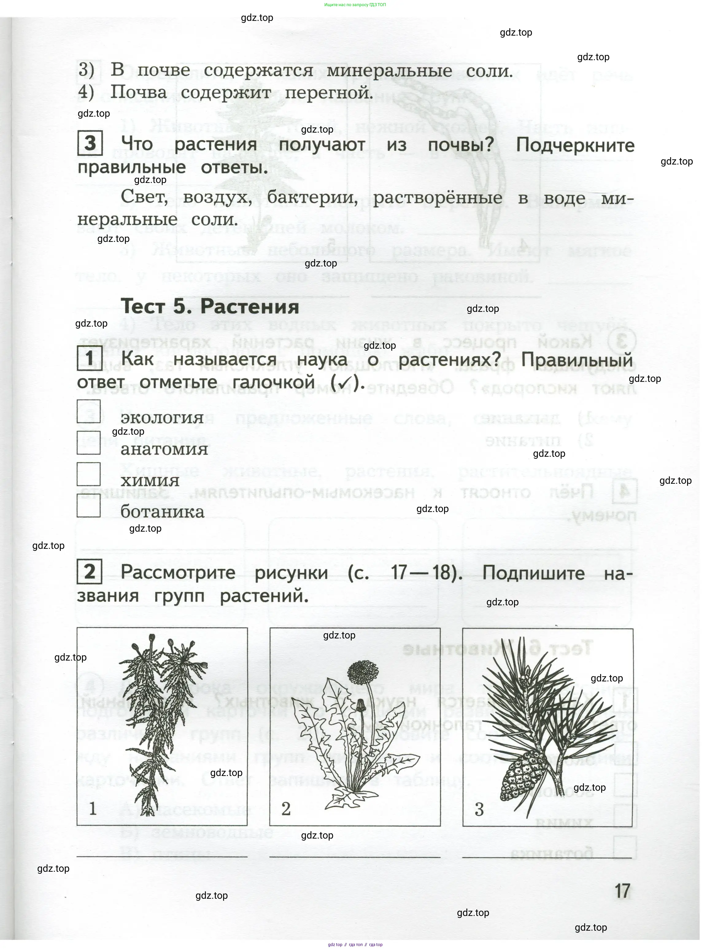 Окружающий мир, 3 класс Предварительный контроль, текущий контроль, итоговый контроль, авторы: Глаголева Юлия Игоревна, Архипова Ю И, издательство Просвещение, Москва, 2023, белого цвета, страница 17
