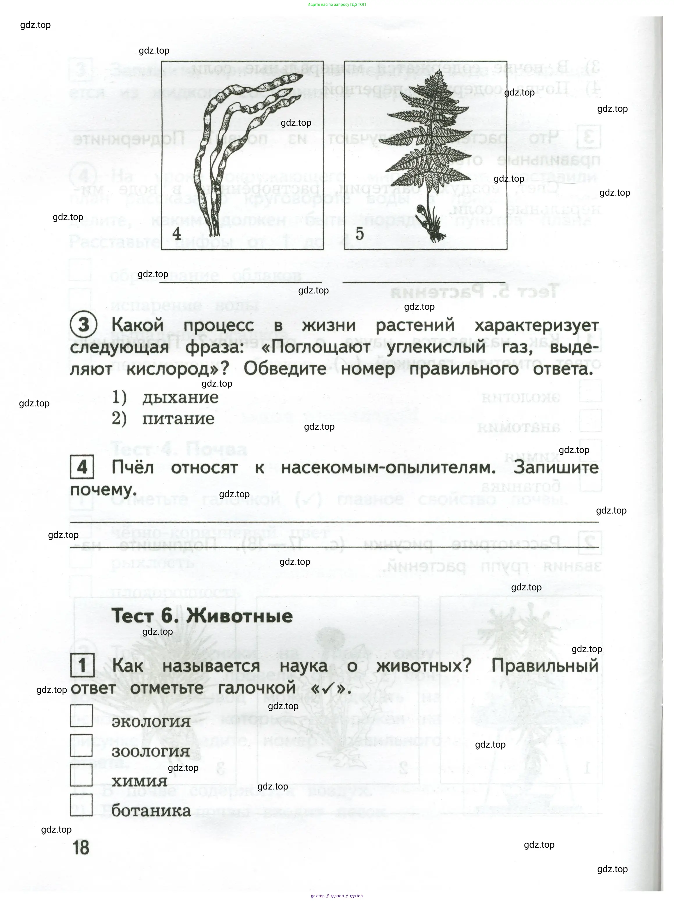 Окружающий мир, 3 класс Предварительный контроль, текущий контроль, итоговый контроль, авторы: Глаголева Юлия Игоревна, Архипова Ю И, издательство Просвещение, Москва, 2023, белого цвета, страница 18