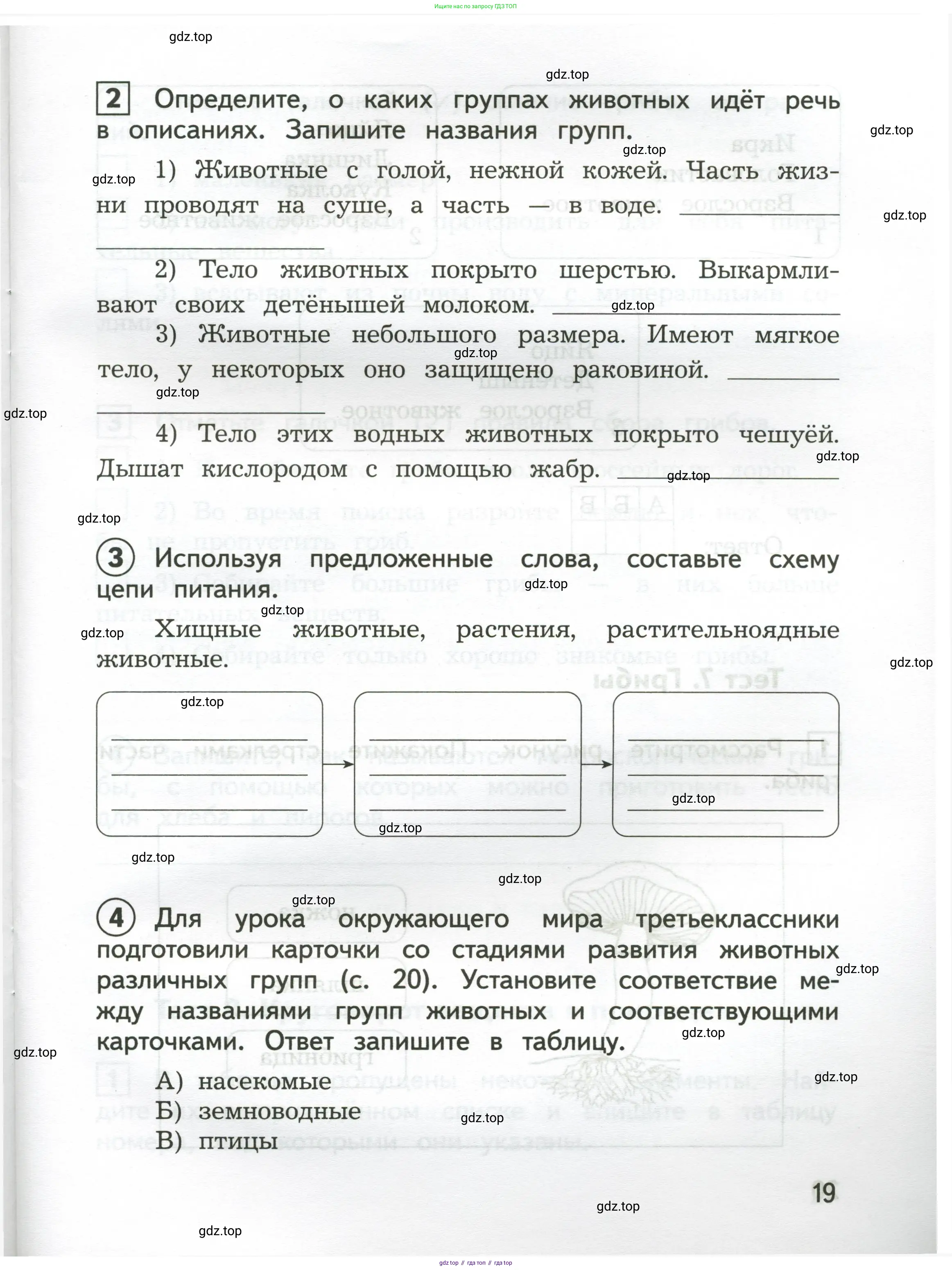 Окружающий мир, 3 класс Предварительный контроль, текущий контроль, итоговый контроль, авторы: Глаголева Юлия Игоревна, Архипова Ю И, издательство Просвещение, Москва, 2023, белого цвета, страница 19