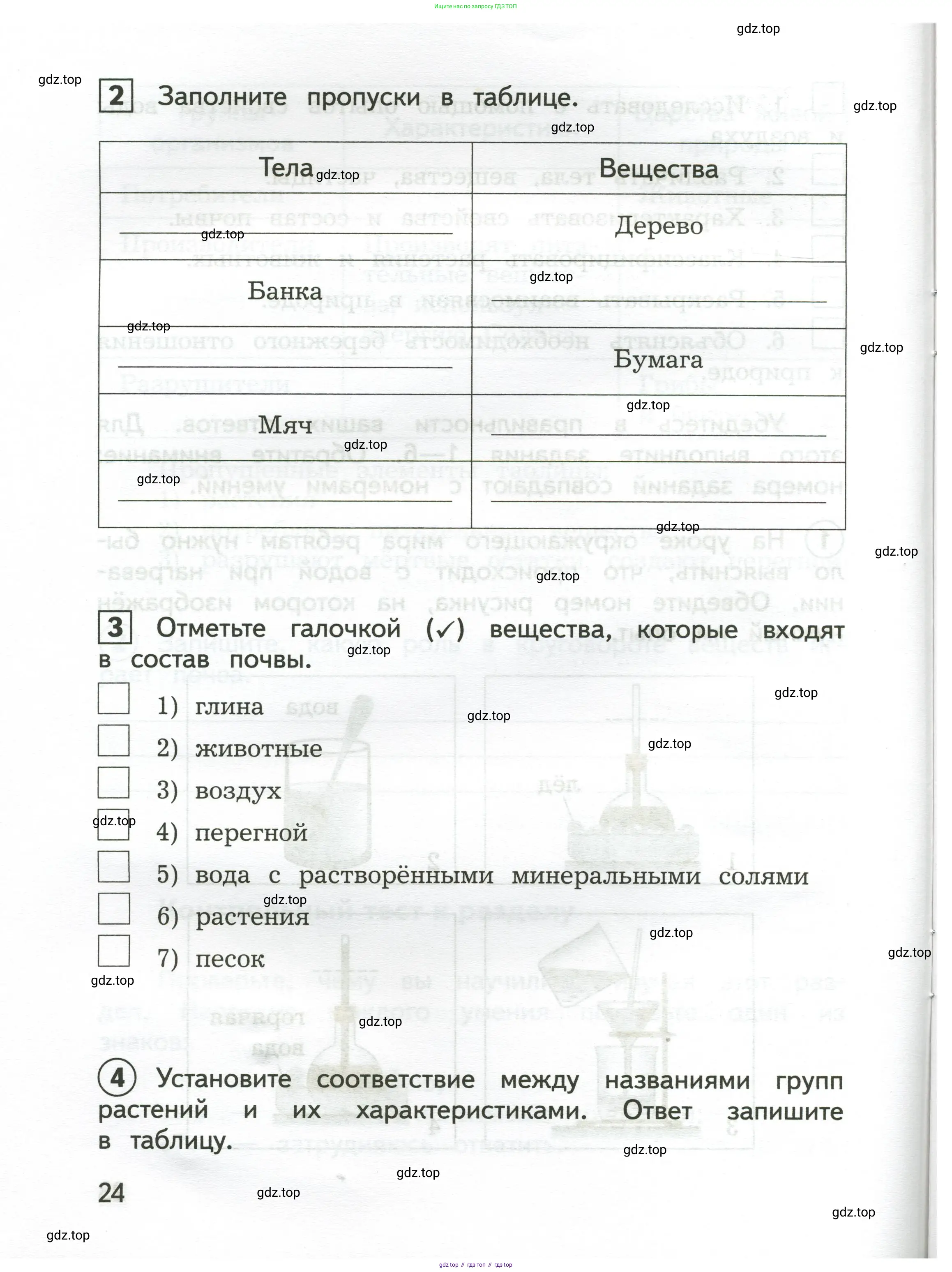 Окружающий мир, 3 класс Предварительный контроль, текущий контроль, итоговый контроль, авторы: Глаголева Юлия Игоревна, Архипова Ю И, издательство Просвещение, Москва, 2023, белого цвета, страница 24