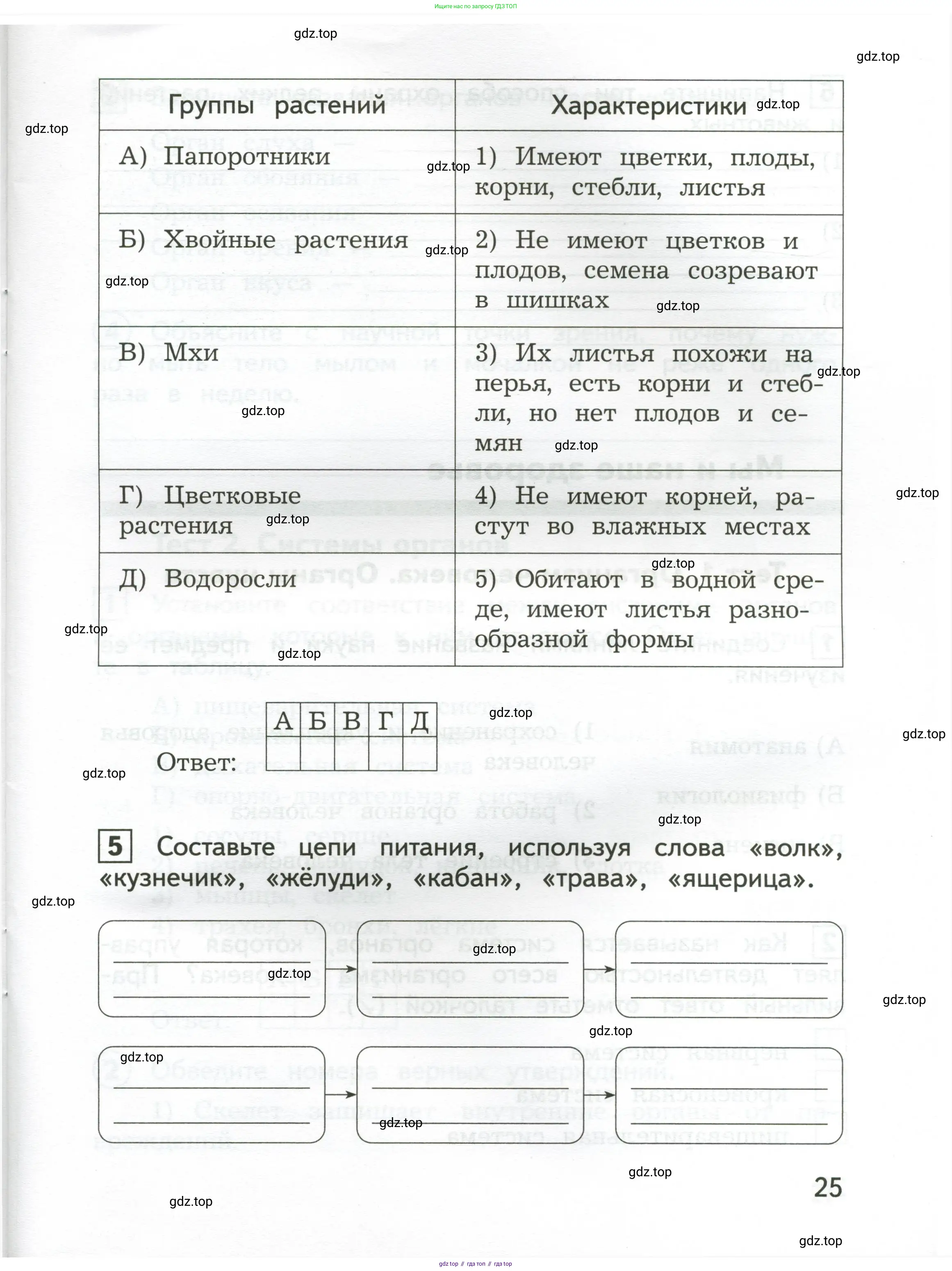 Окружающий мир, 3 класс Предварительный контроль, текущий контроль, итоговый контроль, авторы: Глаголева Юлия Игоревна, Архипова Ю И, издательство Просвещение, Москва, 2023, белого цвета, страница 25