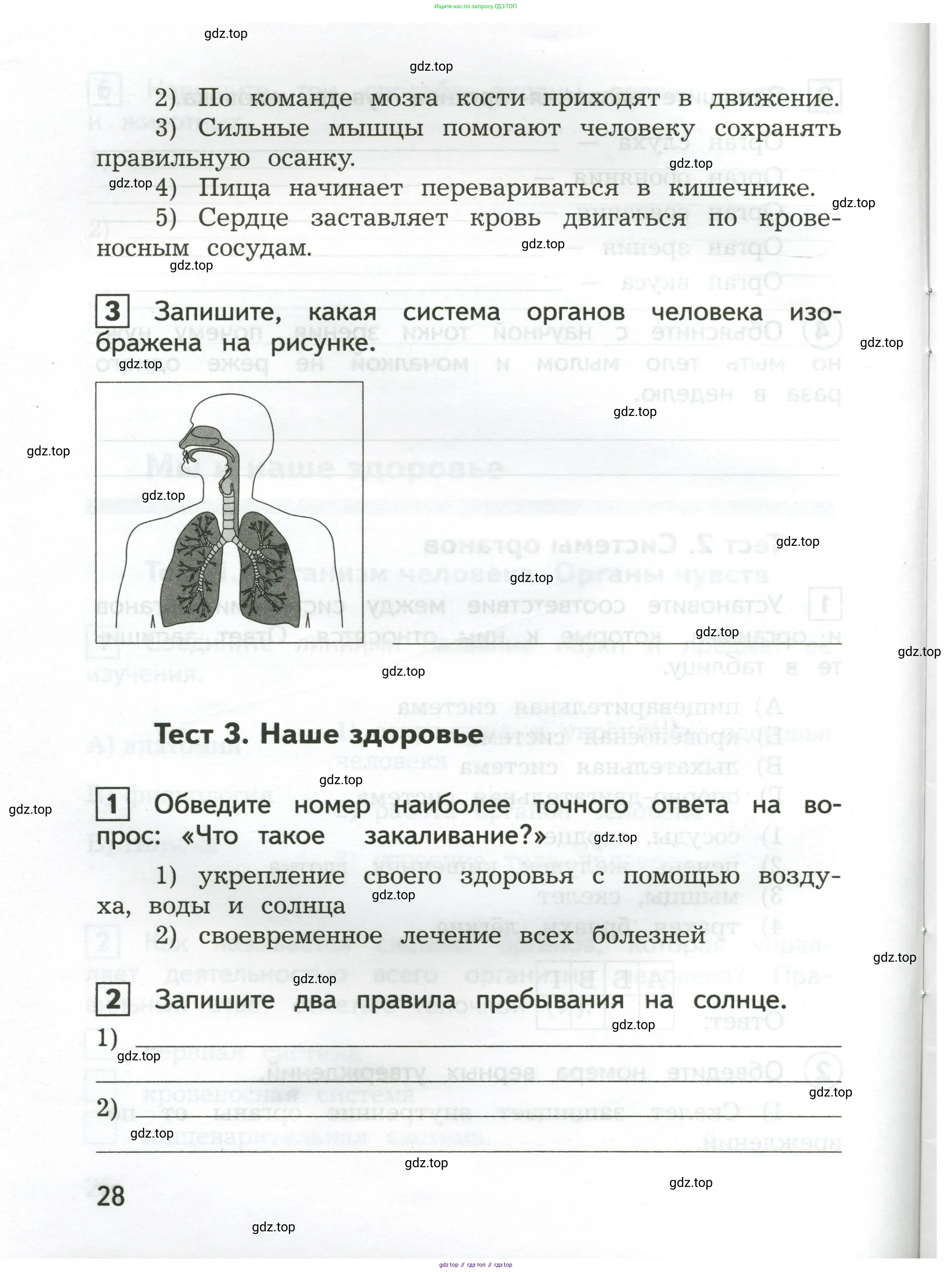 Окружающий мир, 3 класс Предварительный контроль, текущий контроль, итоговый контроль, авторы: Глаголева Юлия Игоревна, Архипова Ю И, издательство Просвещение, Москва, 2023, белого цвета, страница 28
