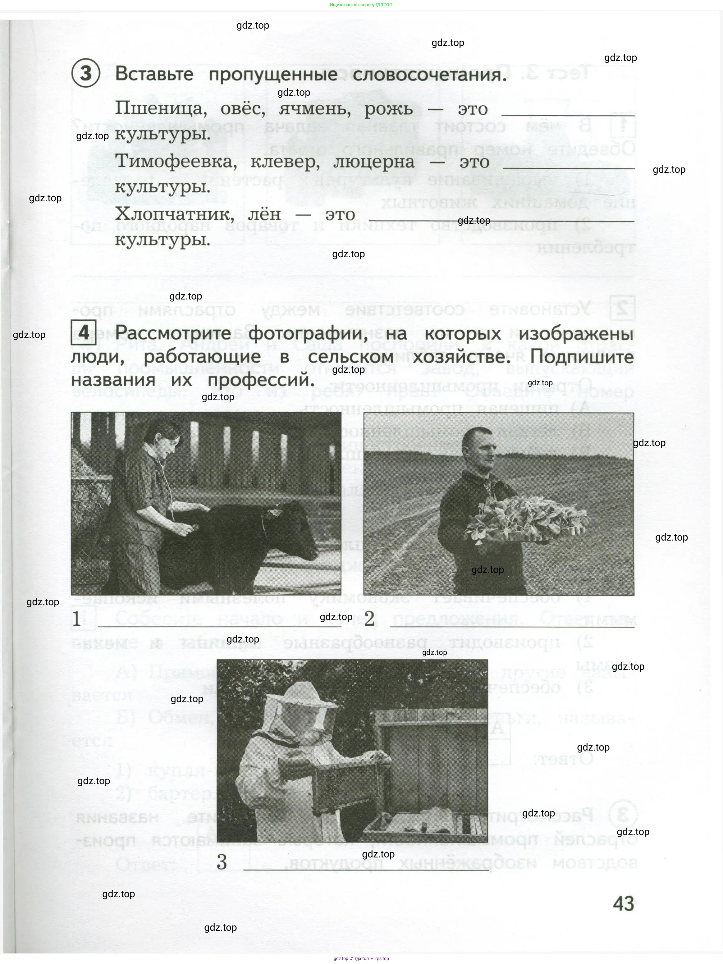 Окружающий мир, 3 класс Предварительный контроль, текущий контроль, итоговый контроль, авторы: Глаголева Юлия Игоревна, Архипова Ю И, издательство Просвещение, Москва, 2023, белого цвета, страница 43