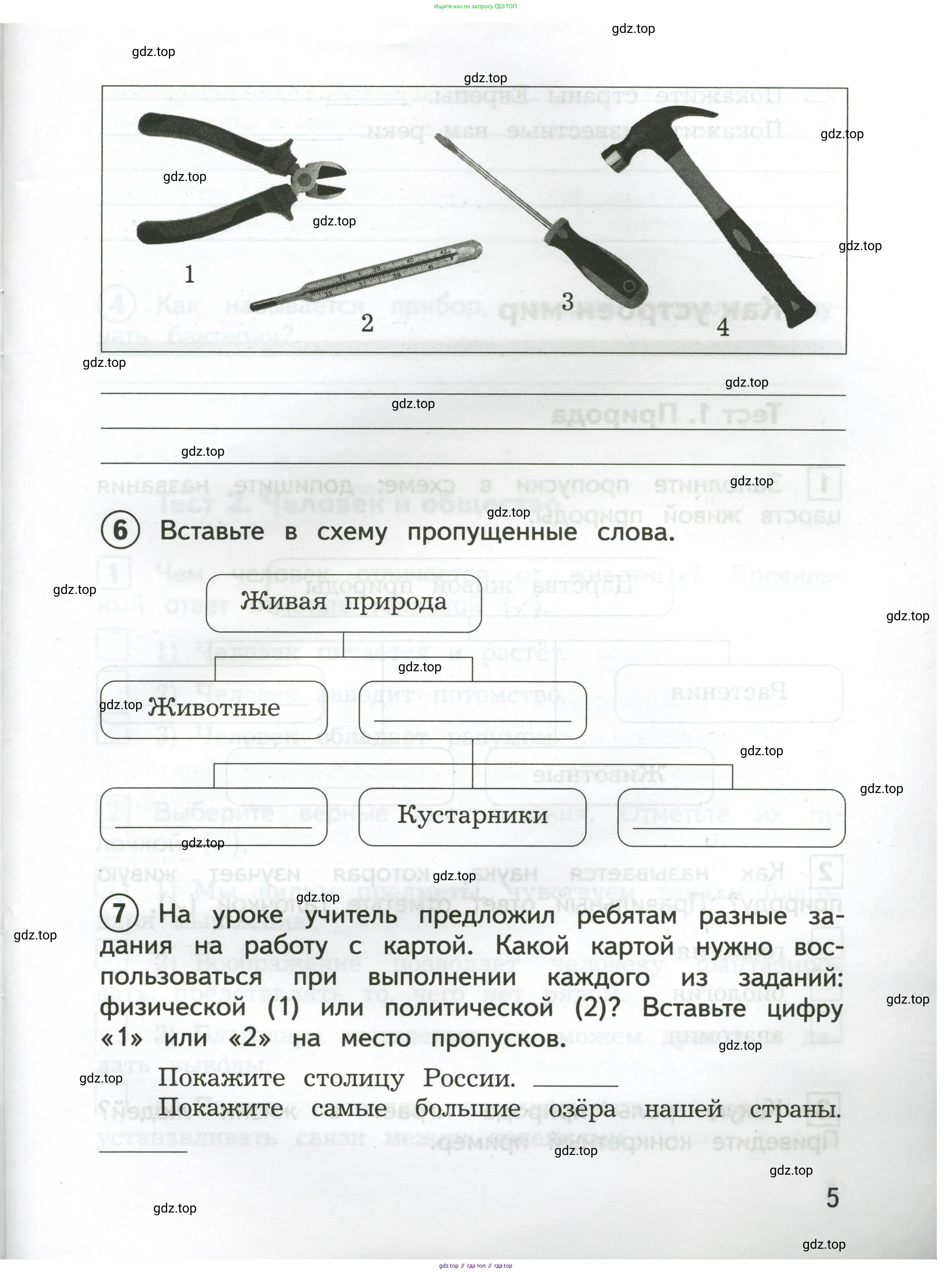 Окружающий мир, 3 класс Предварительный контроль, текущий контроль, итоговый контроль, авторы: Глаголева Юлия Игоревна, Архипова Ю И, издательство Просвещение, Москва, 2023, белого цвета, страница 5