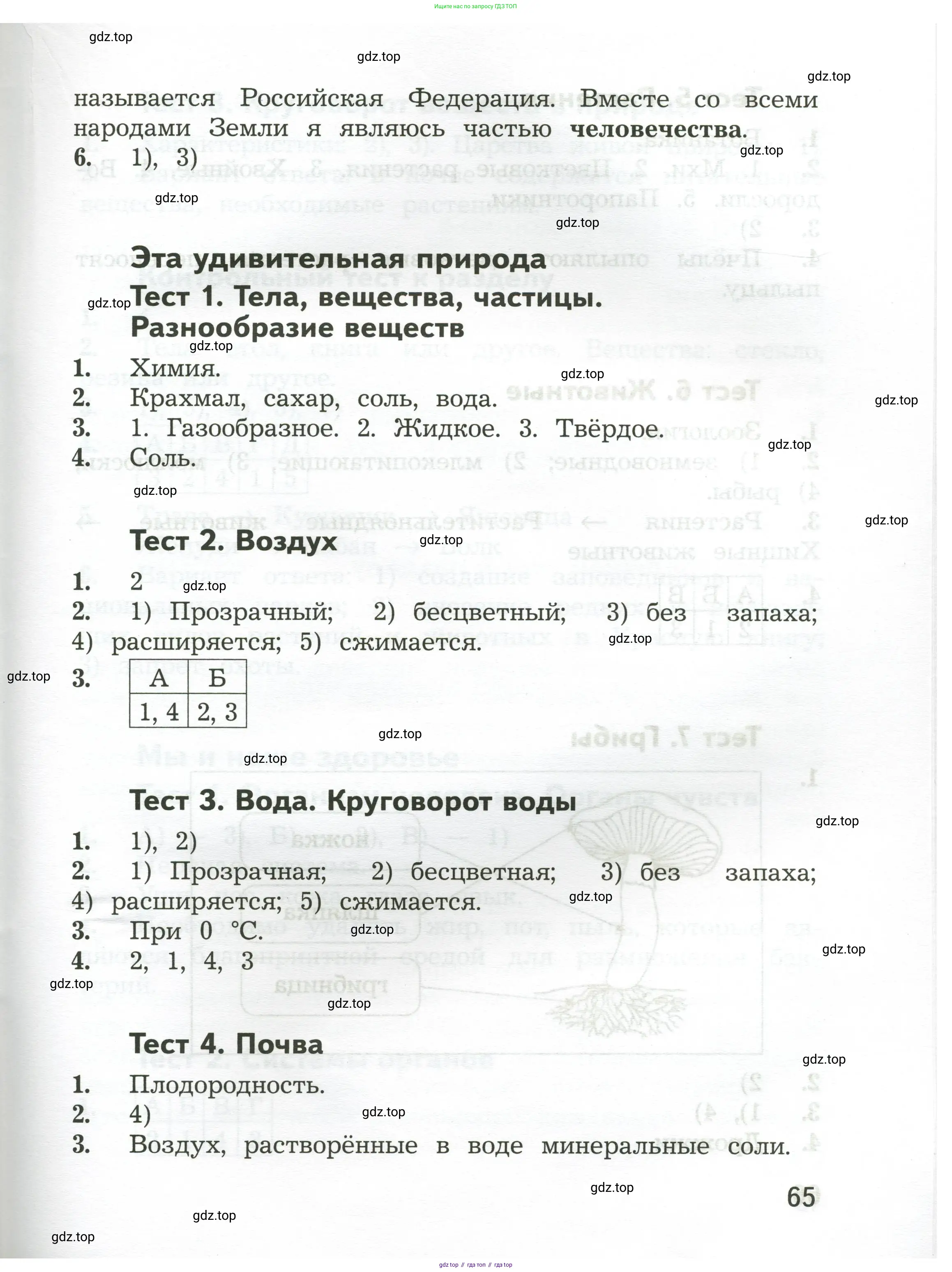 Окружающий мир, 3 класс Предварительный контроль, текущий контроль, итоговый контроль, авторы: Глаголева Юлия Игоревна, Архипова Ю И, издательство Просвещение, Москва, 2023, белого цвета, страница 65