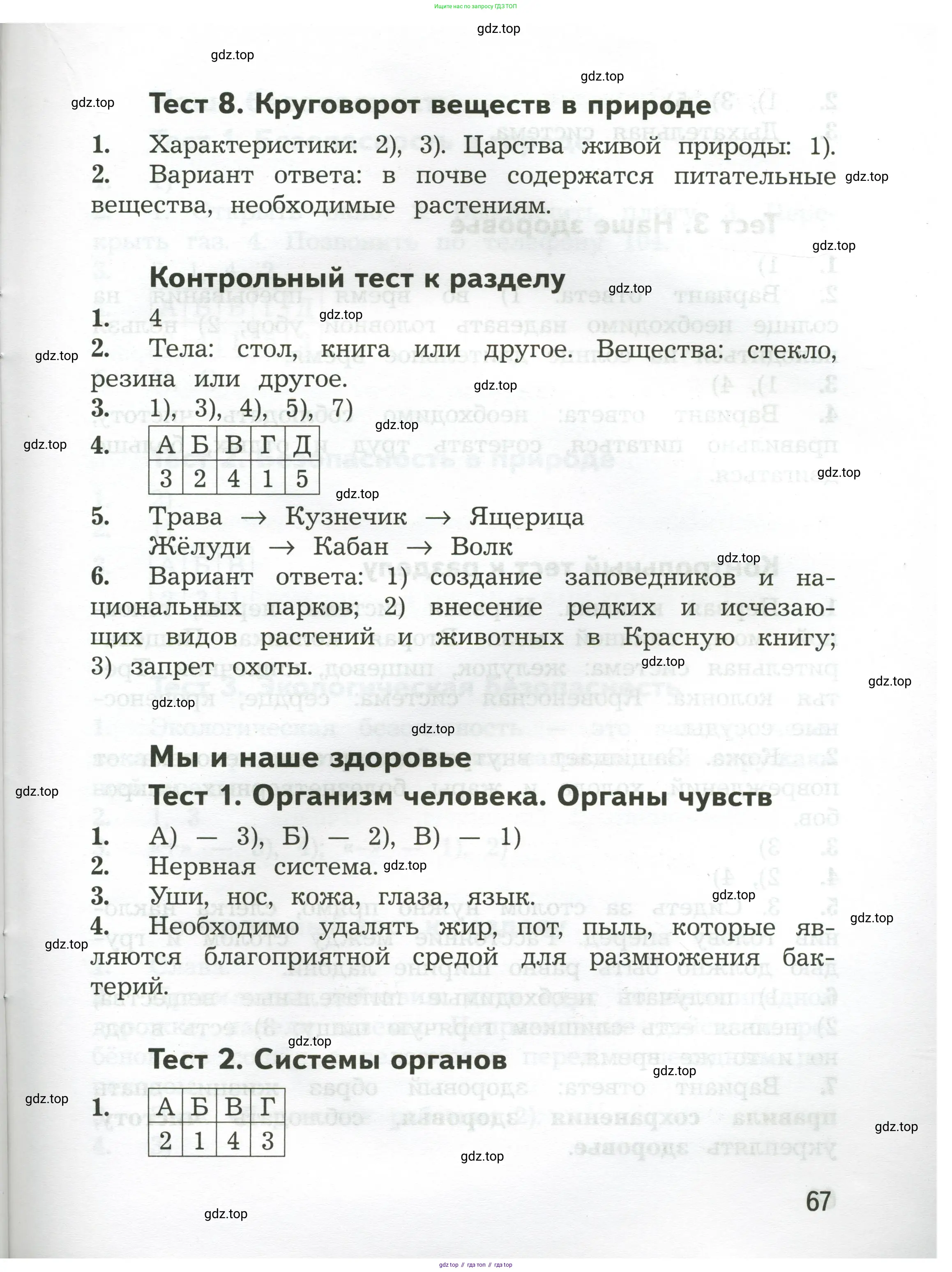Окружающий мир, 3 класс Предварительный контроль, текущий контроль, итоговый контроль, авторы: Глаголева Юлия Игоревна, Архипова Ю И, издательство Просвещение, Москва, 2023, белого цвета, страница 67