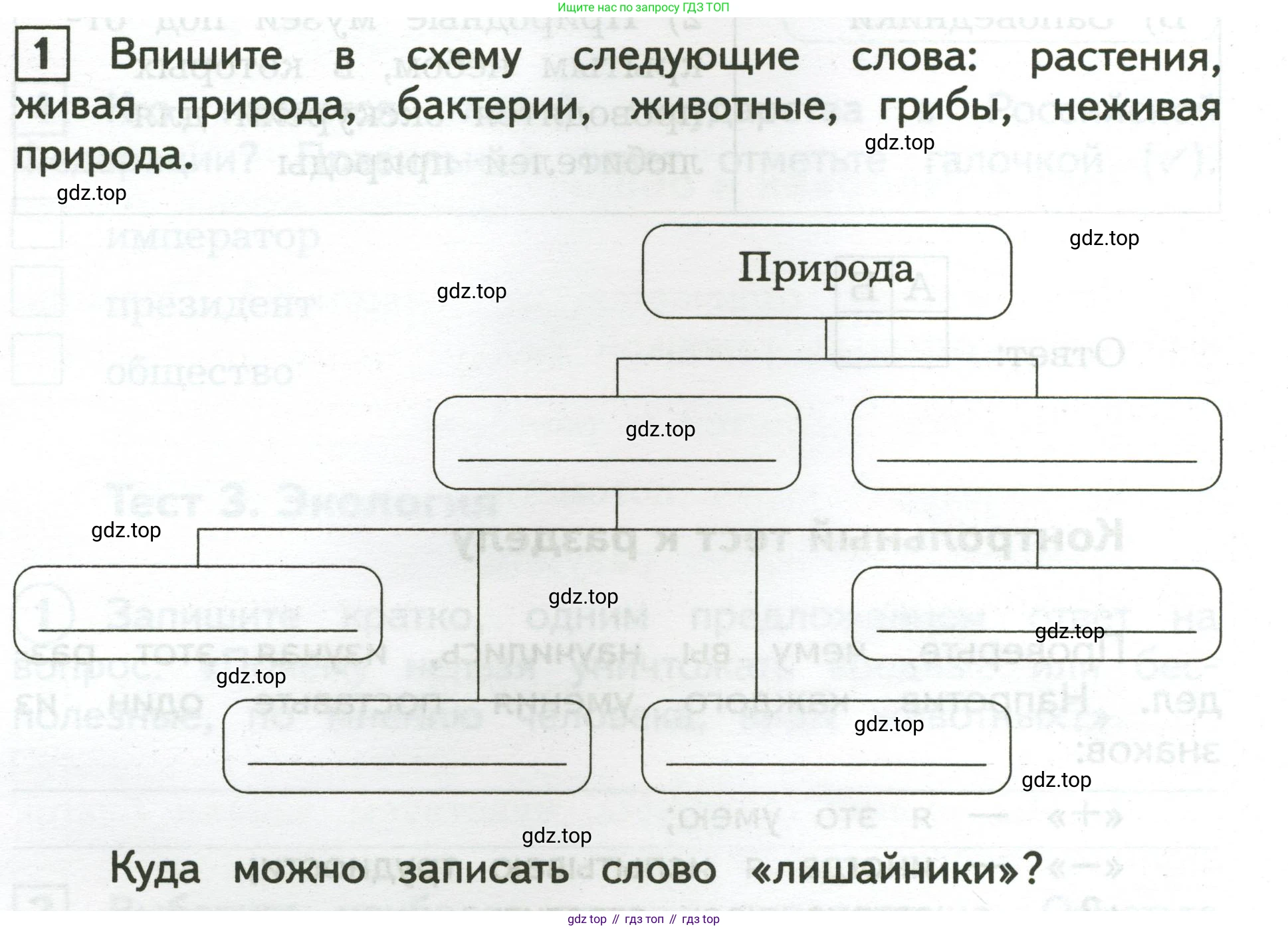 Окружающий мир, 3 класс Предварительный контроль, текущий контроль, итоговый контроль, авторы: Глаголева Юлия Игоревна, Архипова Ю И, издательство Просвещение, Москва, 2023, белого цвета, страница 10, номер 1, Условие