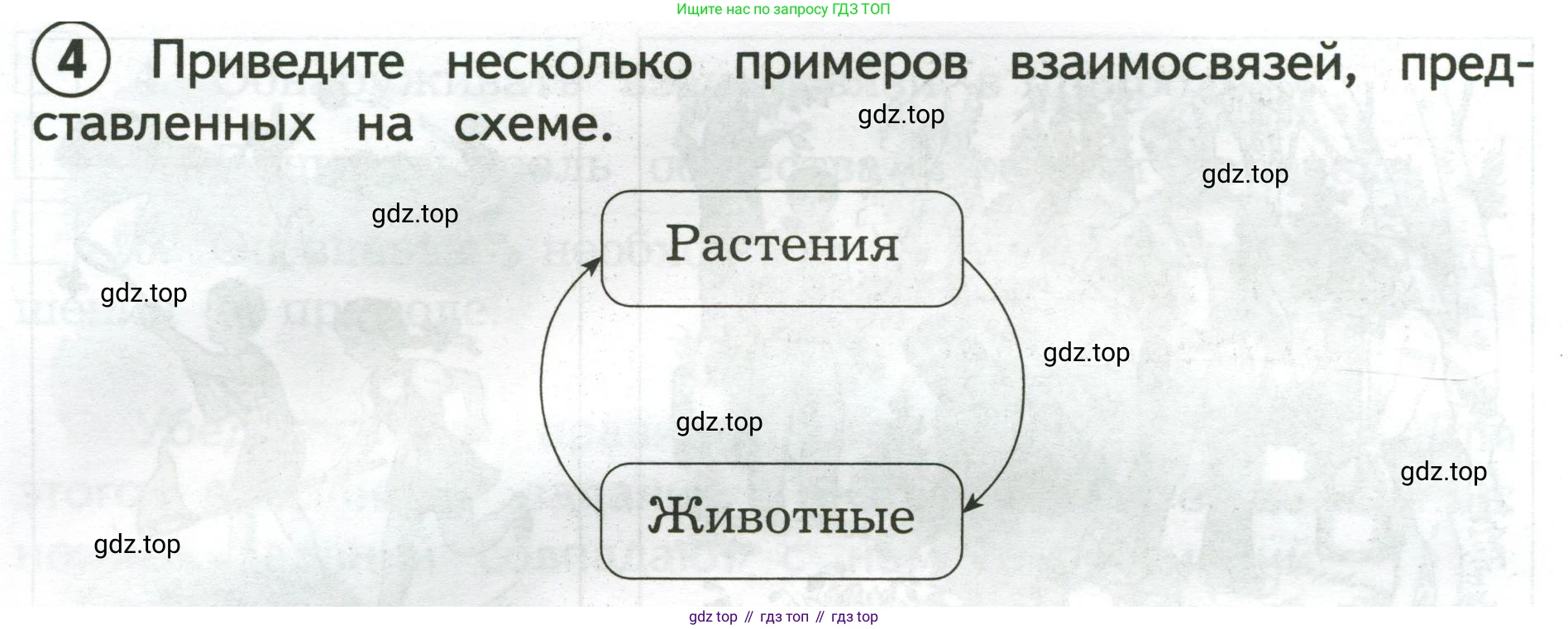 Окружающий мир, 3 класс Предварительный контроль, текущий контроль, итоговый контроль, авторы: Глаголева Юлия Игоревна, Архипова Ю И, издательство Просвещение, Москва, 2023, белого цвета, страница 12, номер 4, Условие