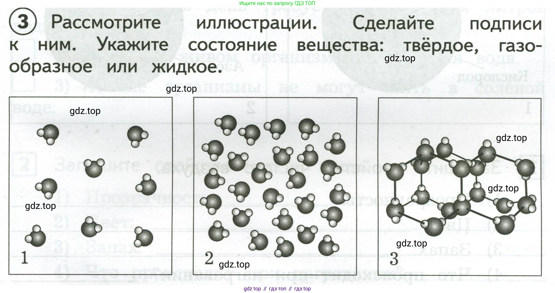 Окружающий мир, 3 класс Предварительный контроль, текущий контроль, итоговый контроль, авторы: Глаголева Юлия Игоревна, Архипова Ю И, издательство Просвещение, Москва, 2023, белого цвета, страница 13, номер 3, Условие