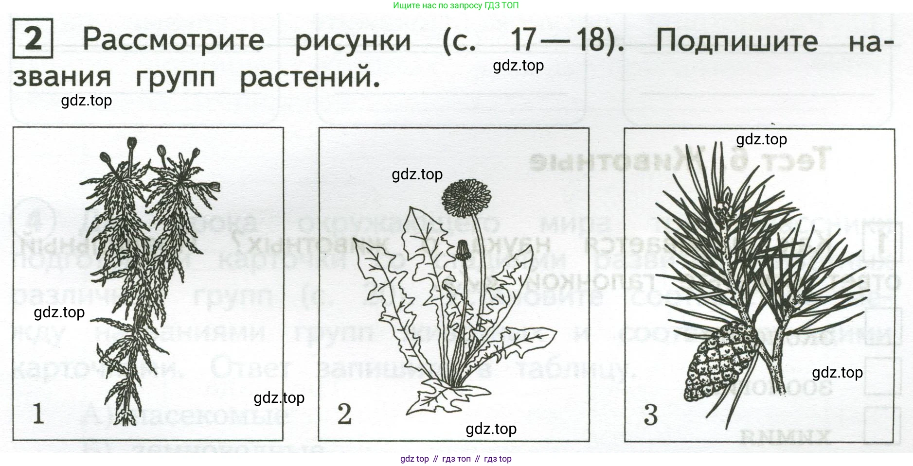 Окружающий мир, 3 класс Предварительный контроль, текущий контроль, итоговый контроль, авторы: Глаголева Юлия Игоревна, Архипова Ю И, издательство Просвещение, Москва, 2023, белого цвета, страница 17, номер 2, Условие