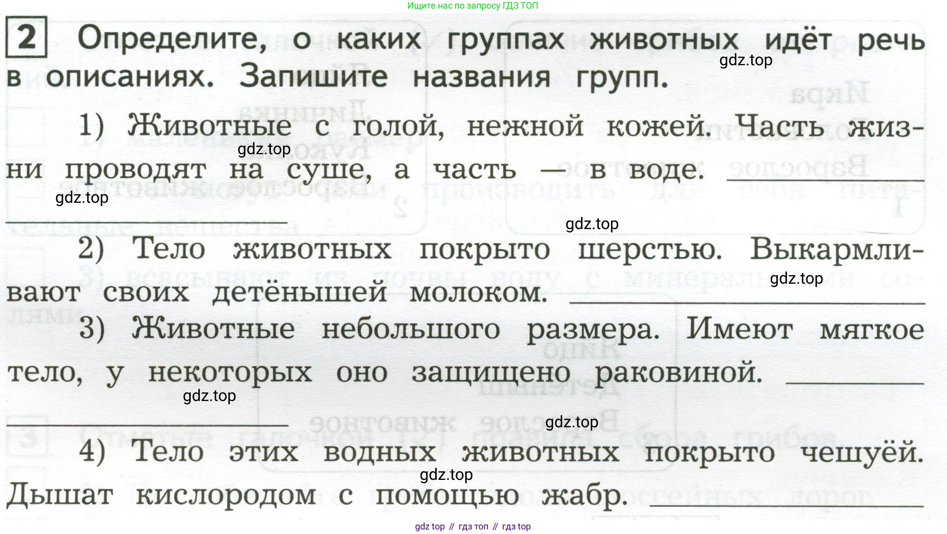 Окружающий мир, 3 класс Предварительный контроль, текущий контроль, итоговый контроль, авторы: Глаголева Юлия Игоревна, Архипова Ю И, издательство Просвещение, Москва, 2023, белого цвета, страница 19, номер 2, Условие