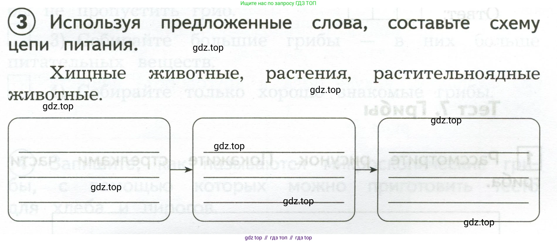 Окружающий мир, 3 класс Предварительный контроль, текущий контроль, итоговый контроль, авторы: Глаголева Юлия Игоревна, Архипова Ю И, издательство Просвещение, Москва, 2023, белого цвета, страница 19, номер 3, Условие
