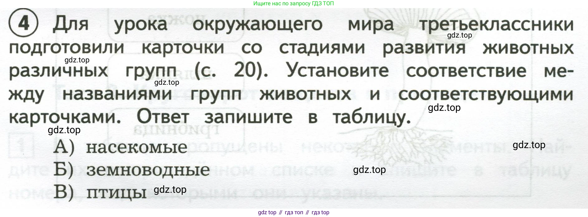 Окружающий мир, 3 класс Предварительный контроль, текущий контроль, итоговый контроль, авторы: Глаголева Юлия Игоревна, Архипова Ю И, издательство Просвещение, Москва, 2023, белого цвета, страница 19, номер 4, Условие