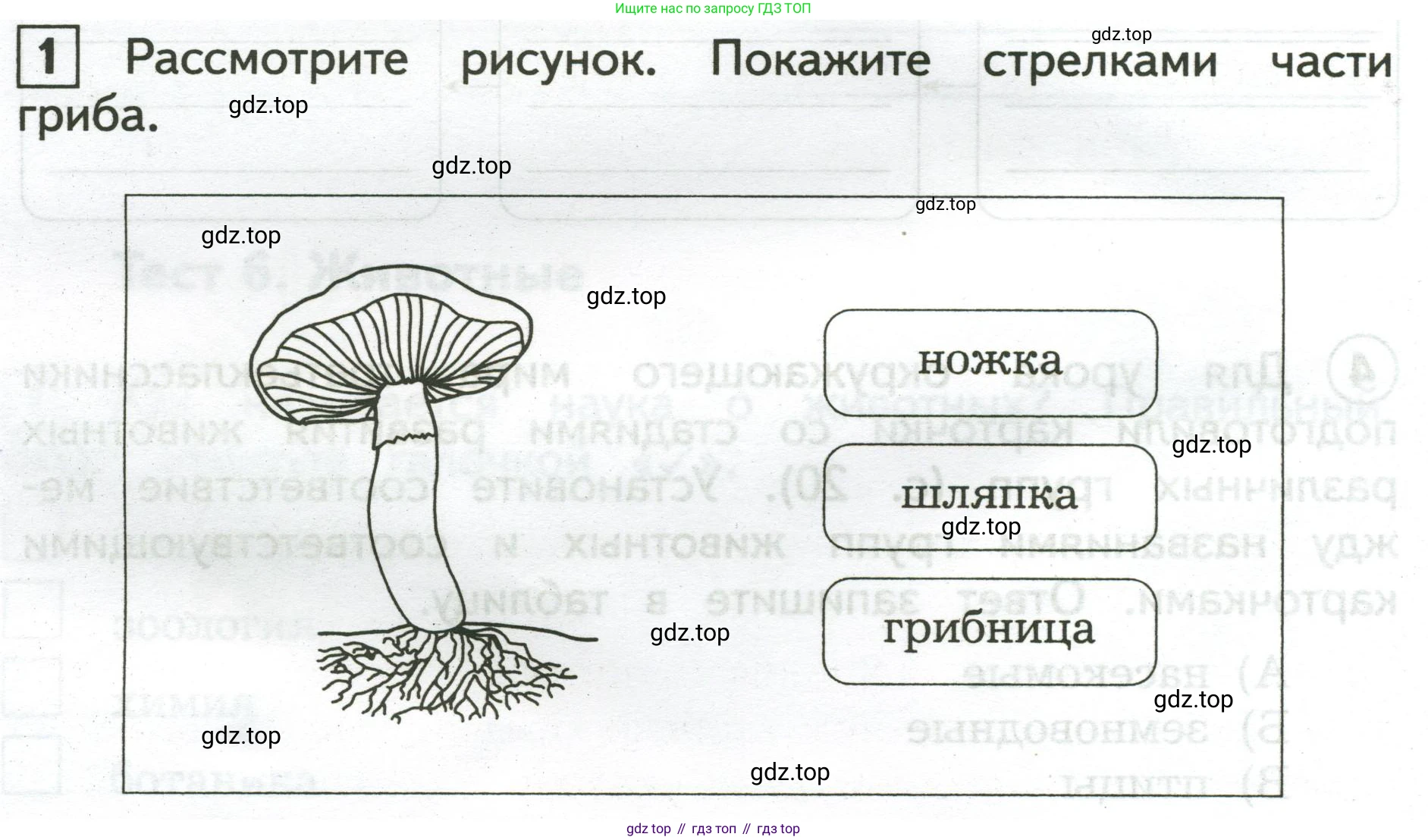Окружающий мир, 3 класс Предварительный контроль, текущий контроль, итоговый контроль, авторы: Глаголева Юлия Игоревна, Архипова Ю И, издательство Просвещение, Москва, 2023, белого цвета, страница 20, номер 1, Условие