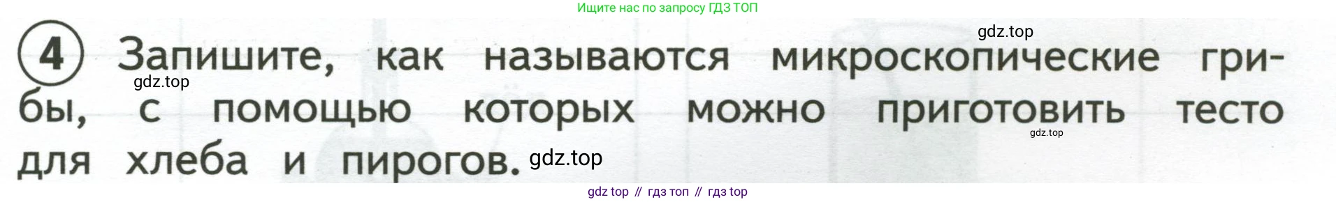 Окружающий мир, 3 класс Предварительный контроль, текущий контроль, итоговый контроль, авторы: Глаголева Юлия Игоревна, Архипова Ю И, издательство Просвещение, Москва, 2023, белого цвета, страница 21, номер 4, Условие