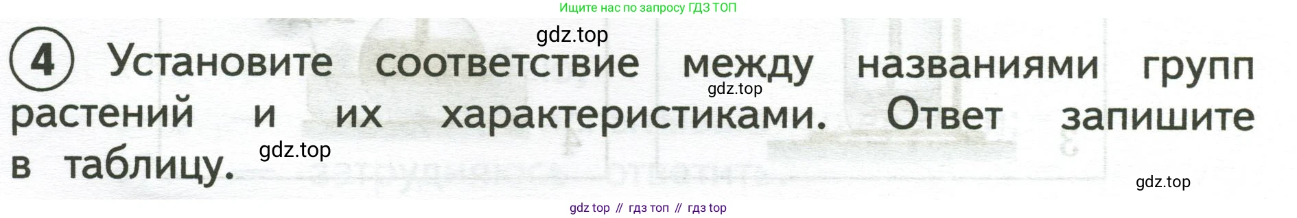 Окружающий мир, 3 класс Предварительный контроль, текущий контроль, итоговый контроль, авторы: Глаголева Юлия Игоревна, Архипова Ю И, издательство Просвещение, Москва, 2023, белого цвета, страница 24, номер 4, Условие