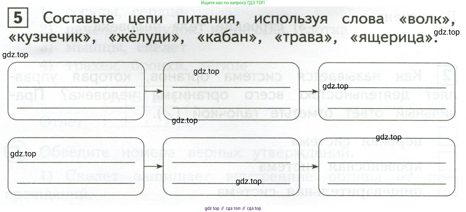 Окружающий мир, 3 класс Предварительный контроль, текущий контроль, итоговый контроль, авторы: Глаголева Юлия Игоревна, Архипова Ю И, издательство Просвещение, Москва, 2023, белого цвета, страница 25, номер 5, Условие
