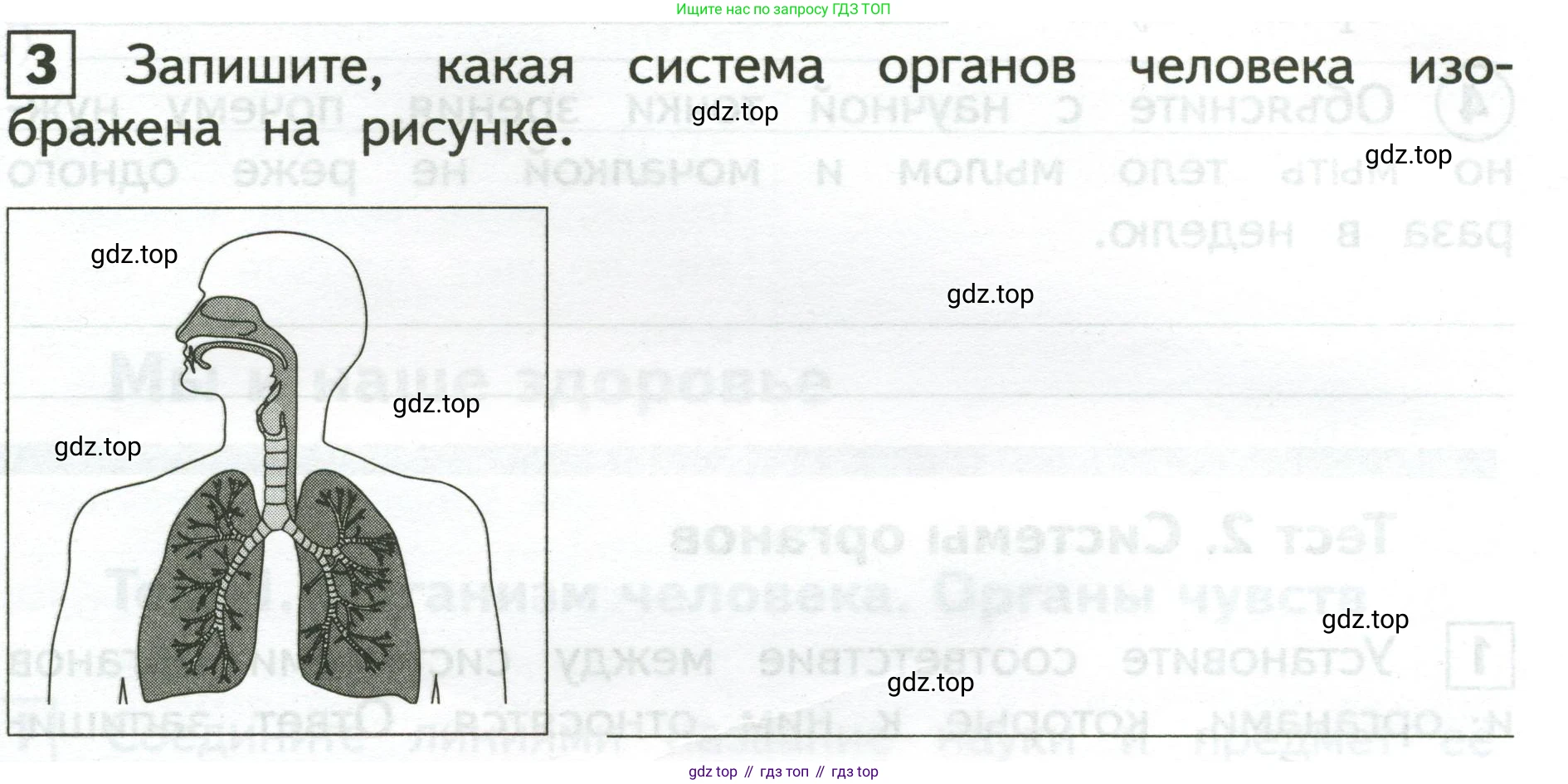 Окружающий мир, 3 класс Предварительный контроль, текущий контроль, итоговый контроль, авторы: Глаголева Юлия Игоревна, Архипова Ю И, издательство Просвещение, Москва, 2023, белого цвета, страница 28, номер 3, Условие