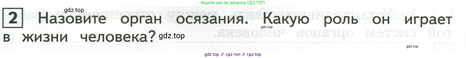 Окружающий мир, 3 класс Предварительный контроль, текущий контроль, итоговый контроль, авторы: Глаголева Юлия Игоревна, Архипова Ю И, издательство Просвещение, Москва, 2023, белого цвета, страница 30, номер 2, Условие
