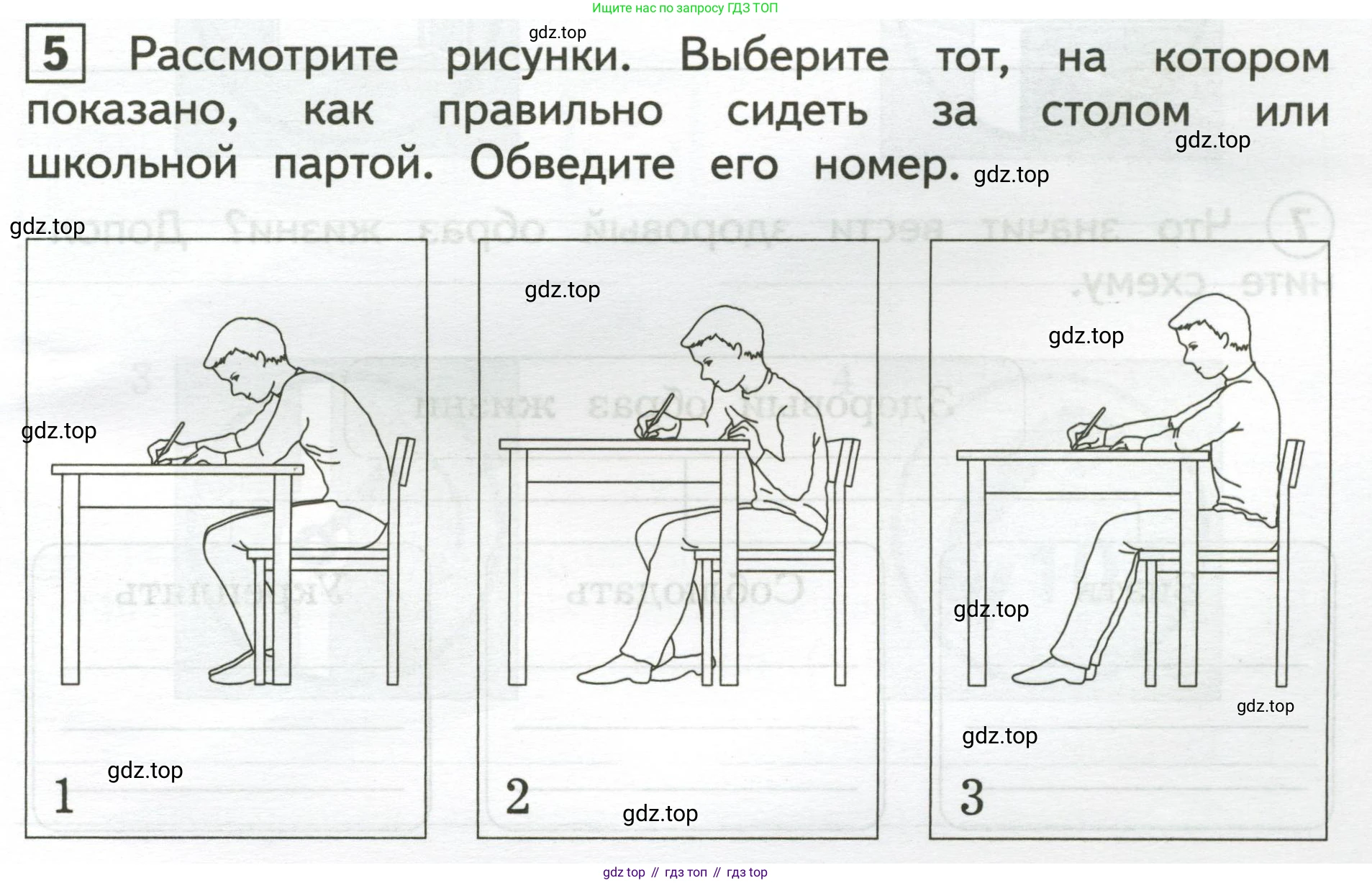 Окружающий мир, 3 класс Предварительный контроль, текущий контроль, итоговый контроль, авторы: Глаголева Юлия Игоревна, Архипова Ю И, издательство Просвещение, Москва, 2023, белого цвета, страница 31, номер 5, Условие