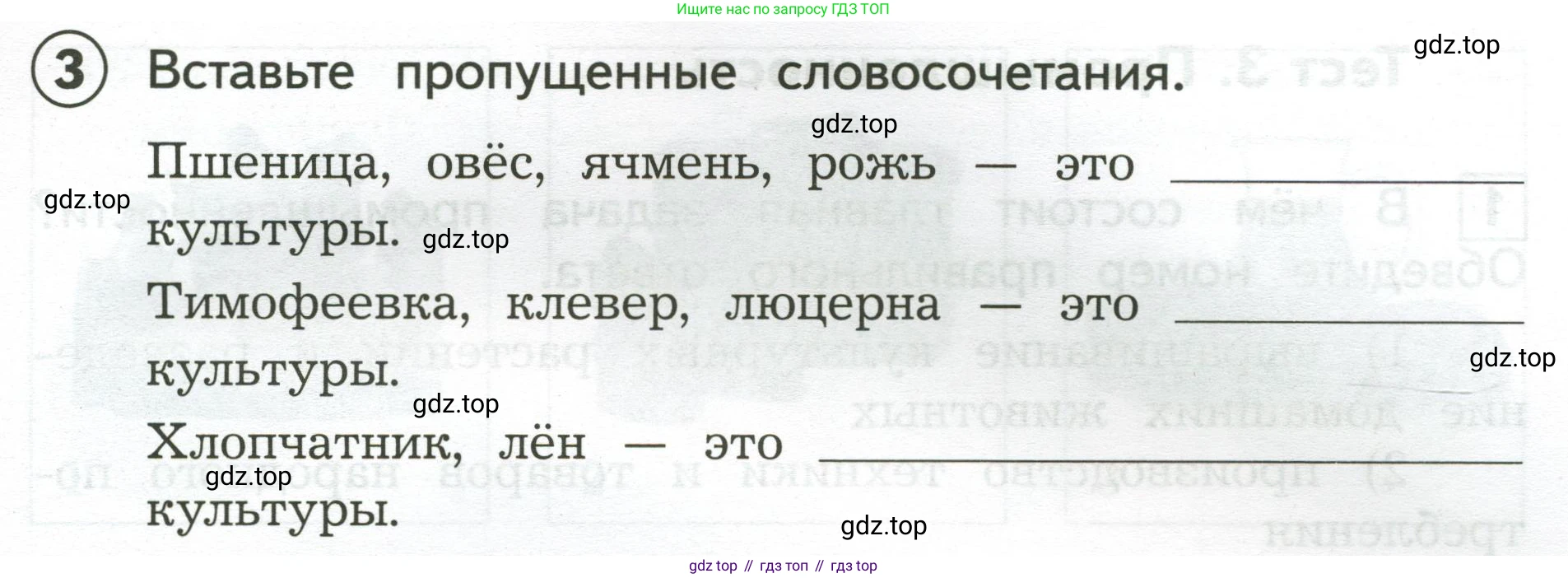 Окружающий мир, 3 класс Предварительный контроль, текущий контроль, итоговый контроль, авторы: Глаголева Юлия Игоревна, Архипова Ю И, издательство Просвещение, Москва, 2023, белого цвета, страница 43, номер 3, Условие