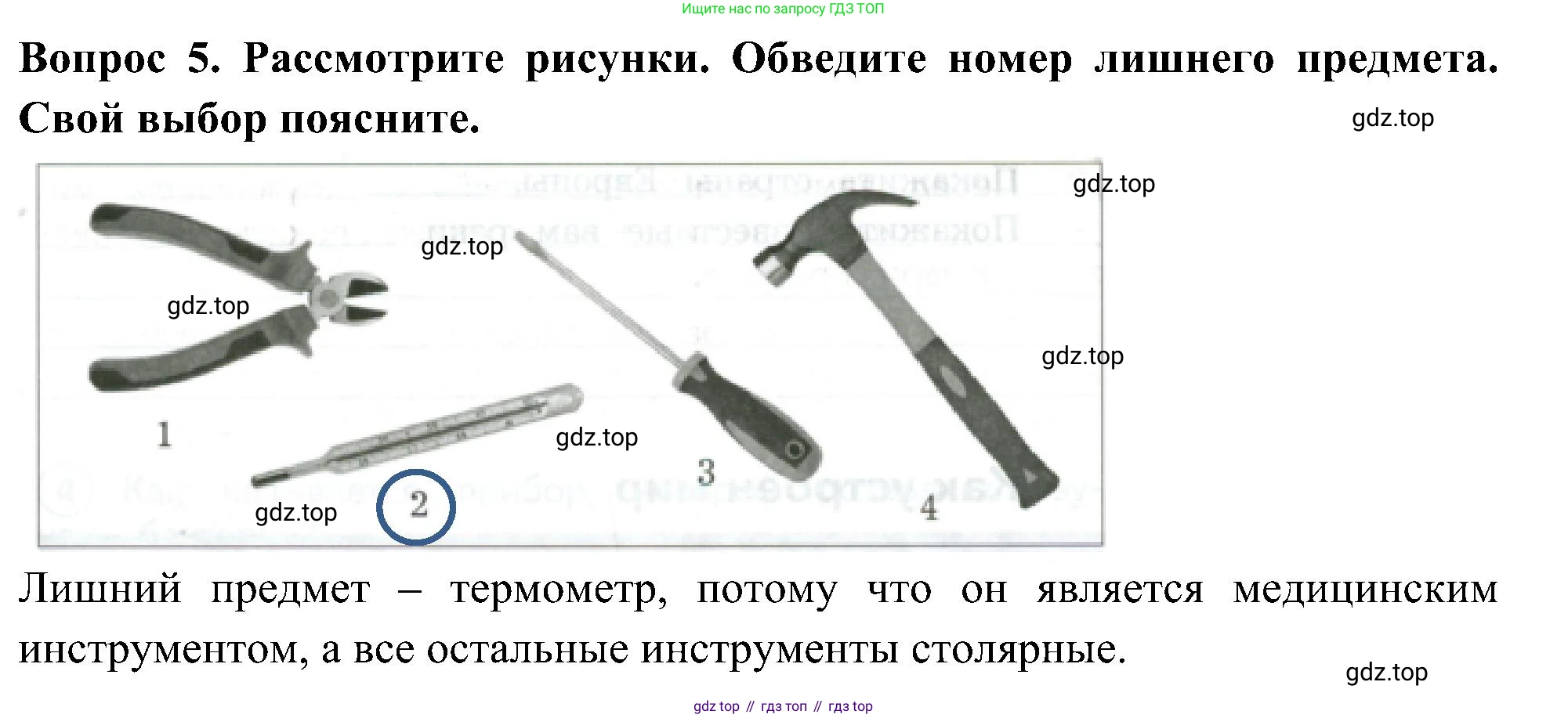 Окружающий мир, 3 класс Предварительный контроль, текущий контроль, итоговый контроль, авторы: Глаголева Юлия Игоревна, Архипова Ю И, издательство Просвещение, Москва, 2023, белого цвета, страница 4, номер 5, Решение