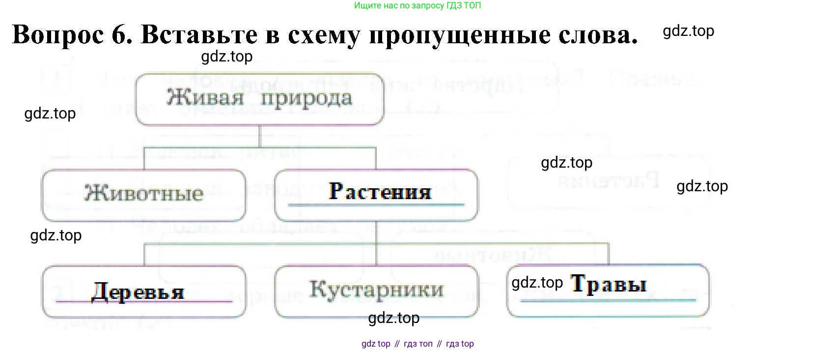 Окружающий мир, 3 класс Предварительный контроль, текущий контроль, итоговый контроль, авторы: Глаголева Юлия Игоревна, Архипова Ю И, издательство Просвещение, Москва, 2023, белого цвета, страница 5, номер 6, Решение