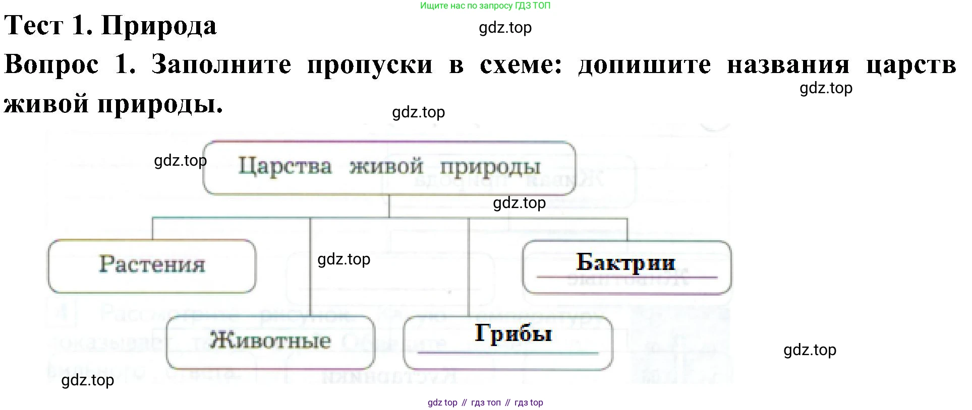 Окружающий мир, 3 класс Предварительный контроль, текущий контроль, итоговый контроль, авторы: Глаголева Юлия Игоревна, Архипова Ю И, издательство Просвещение, Москва, 2023, белого цвета, страница 6, номер 1, Решение