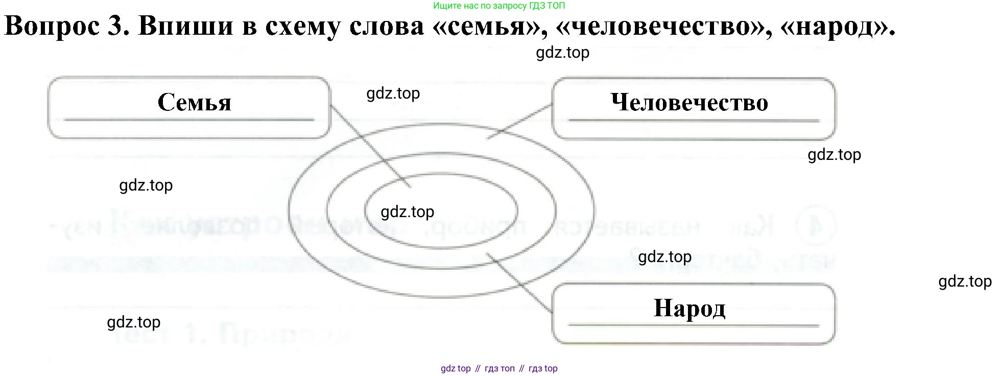 Окружающий мир, 3 класс Предварительный контроль, текущий контроль, итоговый контроль, авторы: Глаголева Юлия Игоревна, Архипова Ю И, издательство Просвещение, Москва, 2023, белого цвета, страница 8, номер 3, Решение