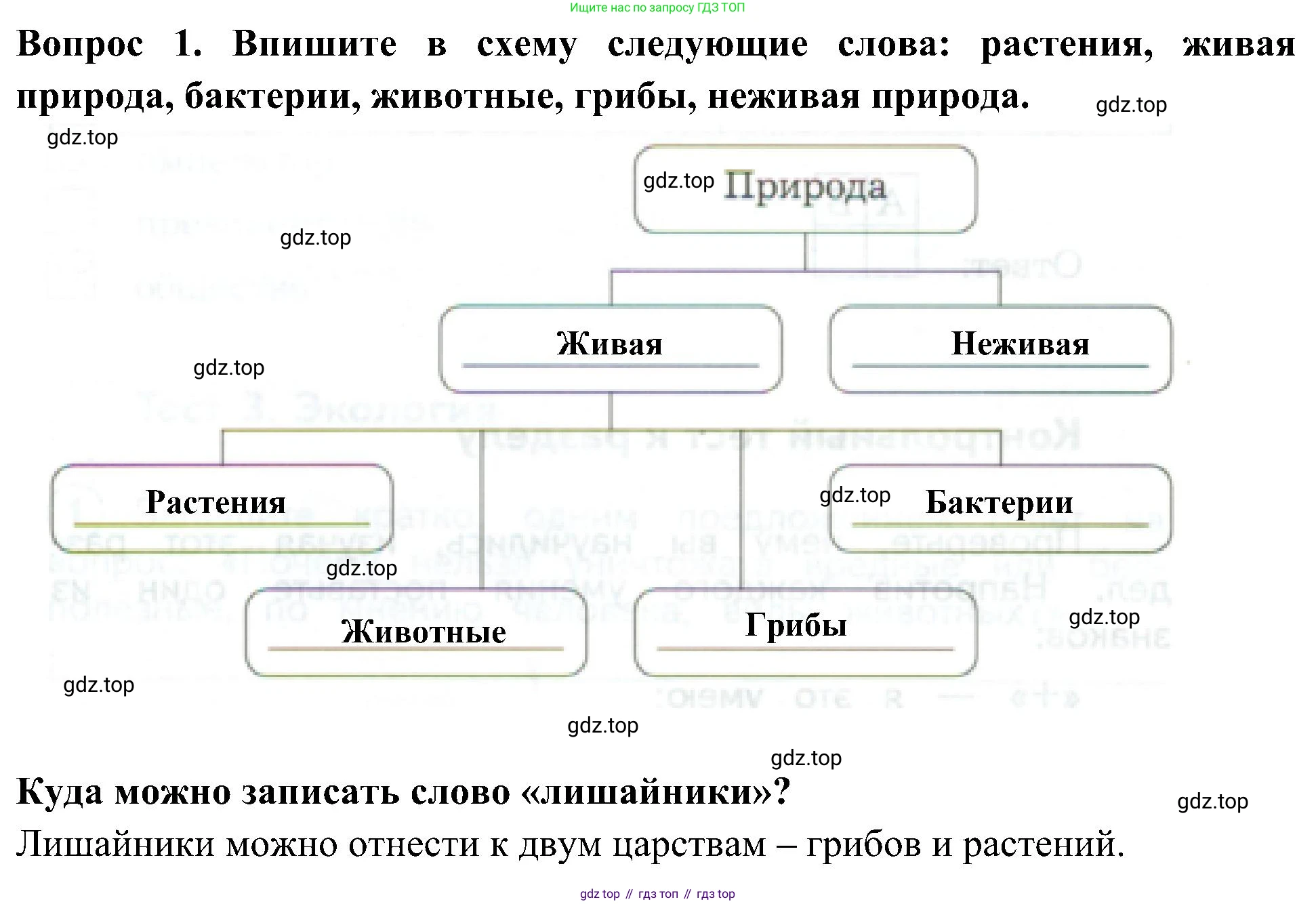 Окружающий мир, 3 класс Предварительный контроль, текущий контроль, итоговый контроль, авторы: Глаголева Юлия Игоревна, Архипова Ю И, издательство Просвещение, Москва, 2023, белого цвета, страница 10, номер 1, Решение