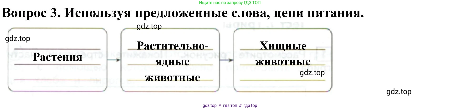 Окружающий мир, 3 класс Предварительный контроль, текущий контроль, итоговый контроль, авторы: Глаголева Юлия Игоревна, Архипова Ю И, издательство Просвещение, Москва, 2023, белого цвета, страница 19, номер 3, Решение