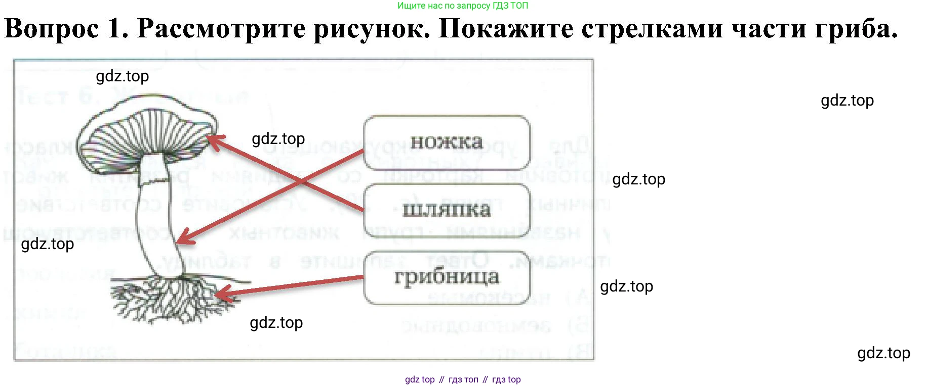 Окружающий мир, 3 класс Предварительный контроль, текущий контроль, итоговый контроль, авторы: Глаголева Юлия Игоревна, Архипова Ю И, издательство Просвещение, Москва, 2023, белого цвета, страница 20, номер 1, Решение