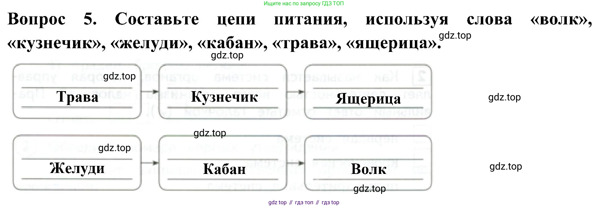 Окружающий мир, 3 класс Предварительный контроль, текущий контроль, итоговый контроль, авторы: Глаголева Юлия Игоревна, Архипова Ю И, издательство Просвещение, Москва, 2023, белого цвета, страница 25, номер 5, Решение