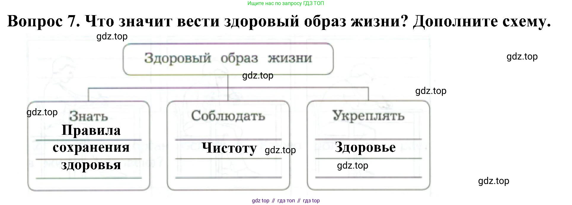 Окружающий мир, 3 класс Предварительный контроль, текущий контроль, итоговый контроль, авторы: Глаголева Юлия Игоревна, Архипова Ю И, издательство Просвещение, Москва, 2023, белого цвета, страница 32, номер 7, Решение