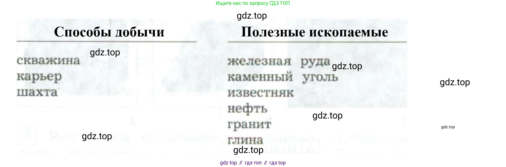Окружающий мир, 3 класс Предварительный контроль, текущий контроль, итоговый контроль, авторы: Глаголева Юлия Игоревна, Архипова Ю И, издательство Просвещение, Москва, 2023, белого цвета, страница 41, номер 2, Решение