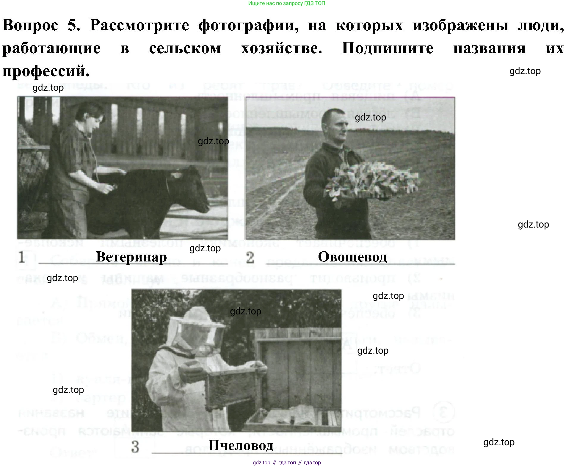 Окружающий мир, 3 класс Предварительный контроль, текущий контроль, итоговый контроль, авторы: Глаголева Юлия Игоревна, Архипова Ю И, издательство Просвещение, Москва, 2023, белого цвета, страница 43, номер 4, Решение (продолжение 2)