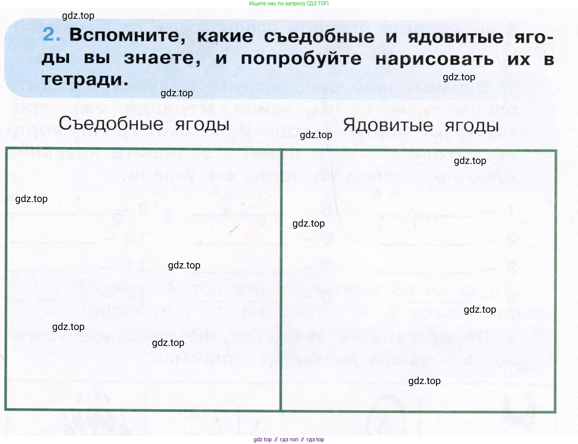 Окружающий мир, 3 класс рабочая тетрадь, автор: Ижевский Павел Владимирович, издательство Просвещение, Москва, 2019, белого цвета, страница 5, номер 2, Условие