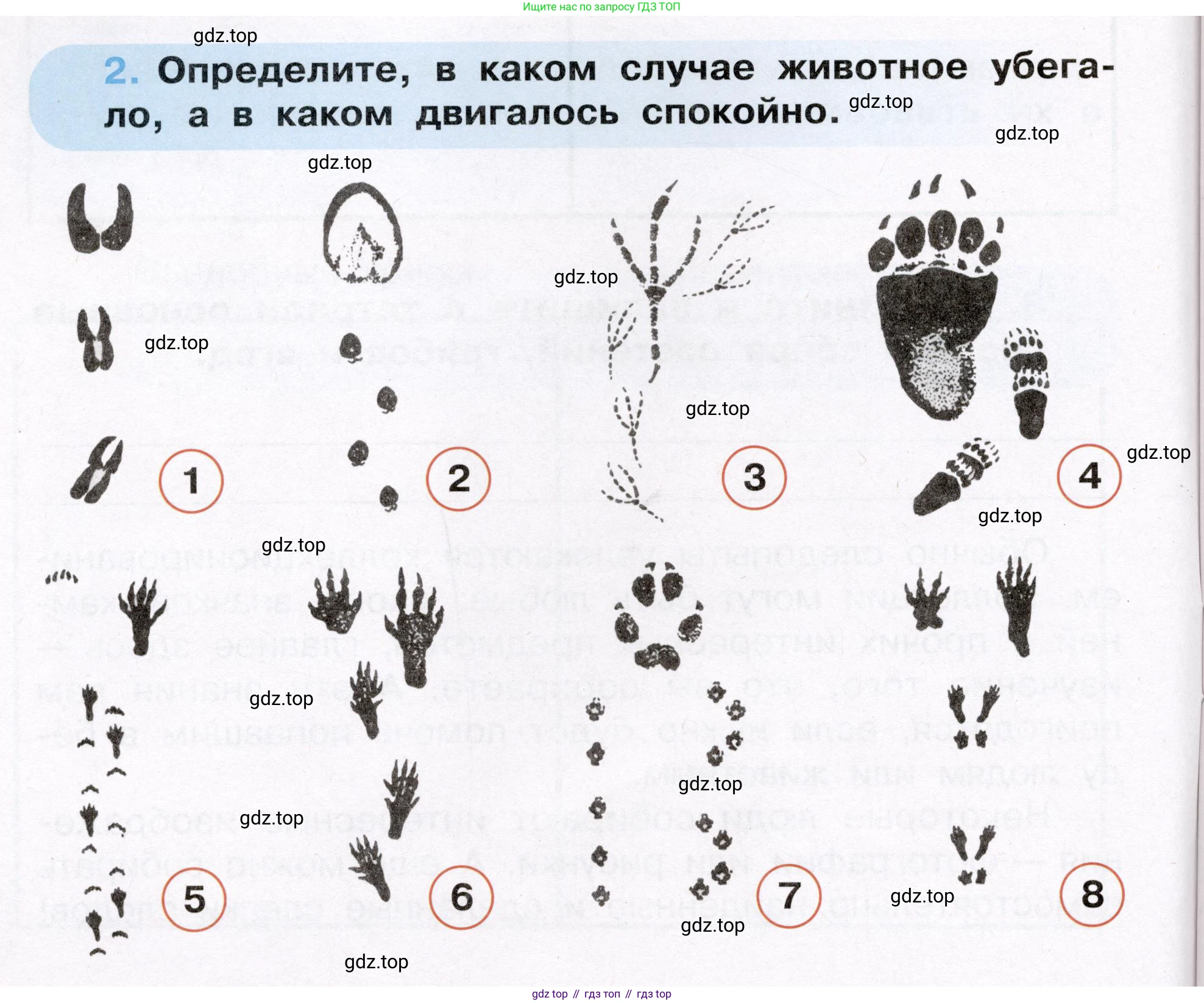 Окружающий мир, 3 класс рабочая тетрадь, автор: Ижевский Павел Владимирович, издательство Просвещение, Москва, 2019, белого цвета, страница 6, номер 2, Условие