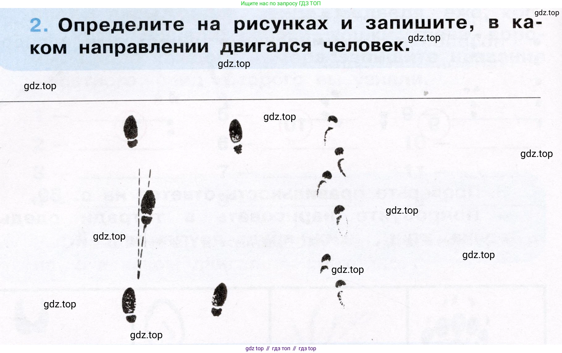 Окружающий мир, 3 класс рабочая тетрадь, автор: Ижевский Павел Владимирович, издательство Просвещение, Москва, 2019, белого цвета, страница 8, номер 2, Условие