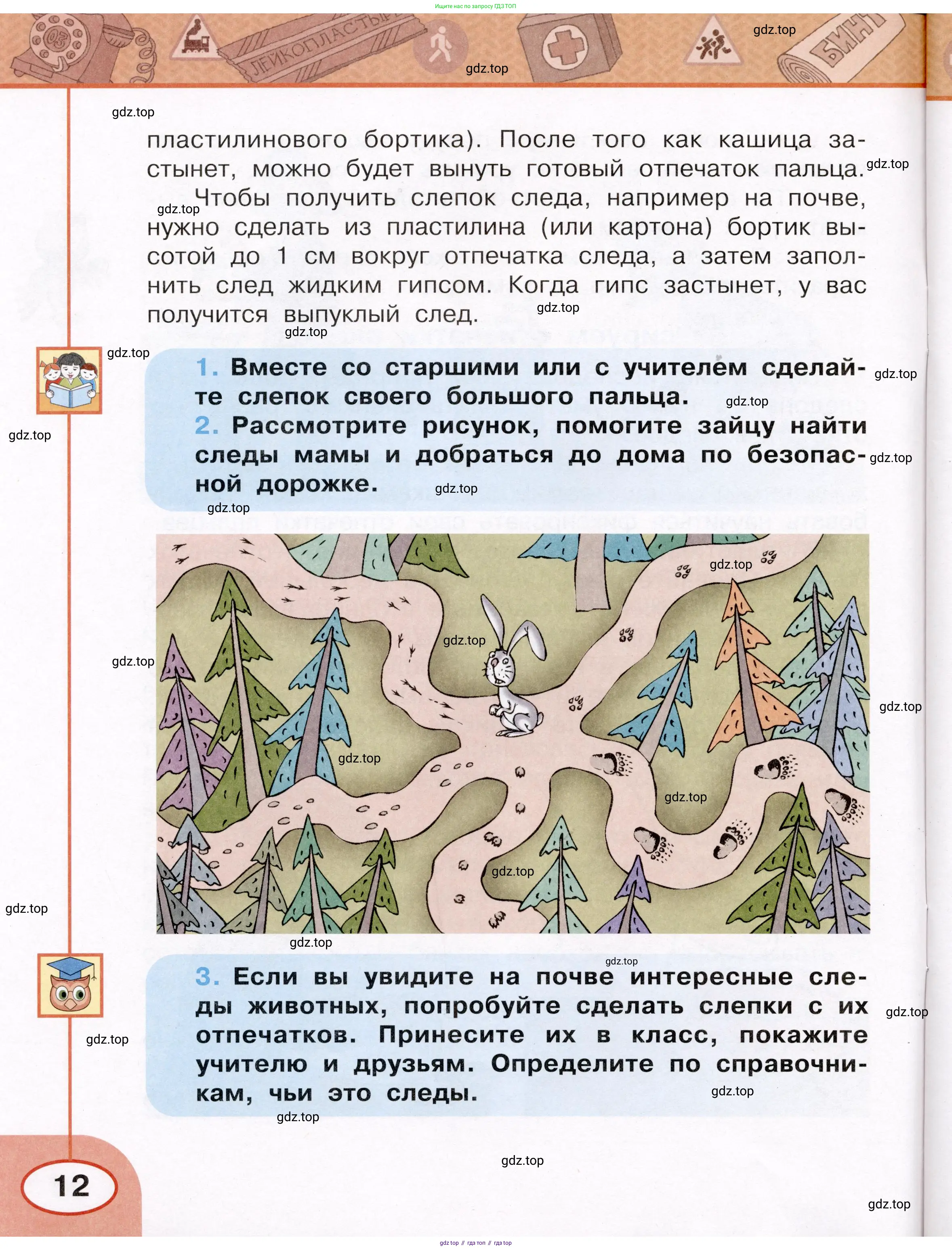 Окружающий мир, 3 класс рабочая тетрадь, автор: Ижевский Павел Владимирович, издательство Просвещение, Москва, 2019, белого цвета, страница 12