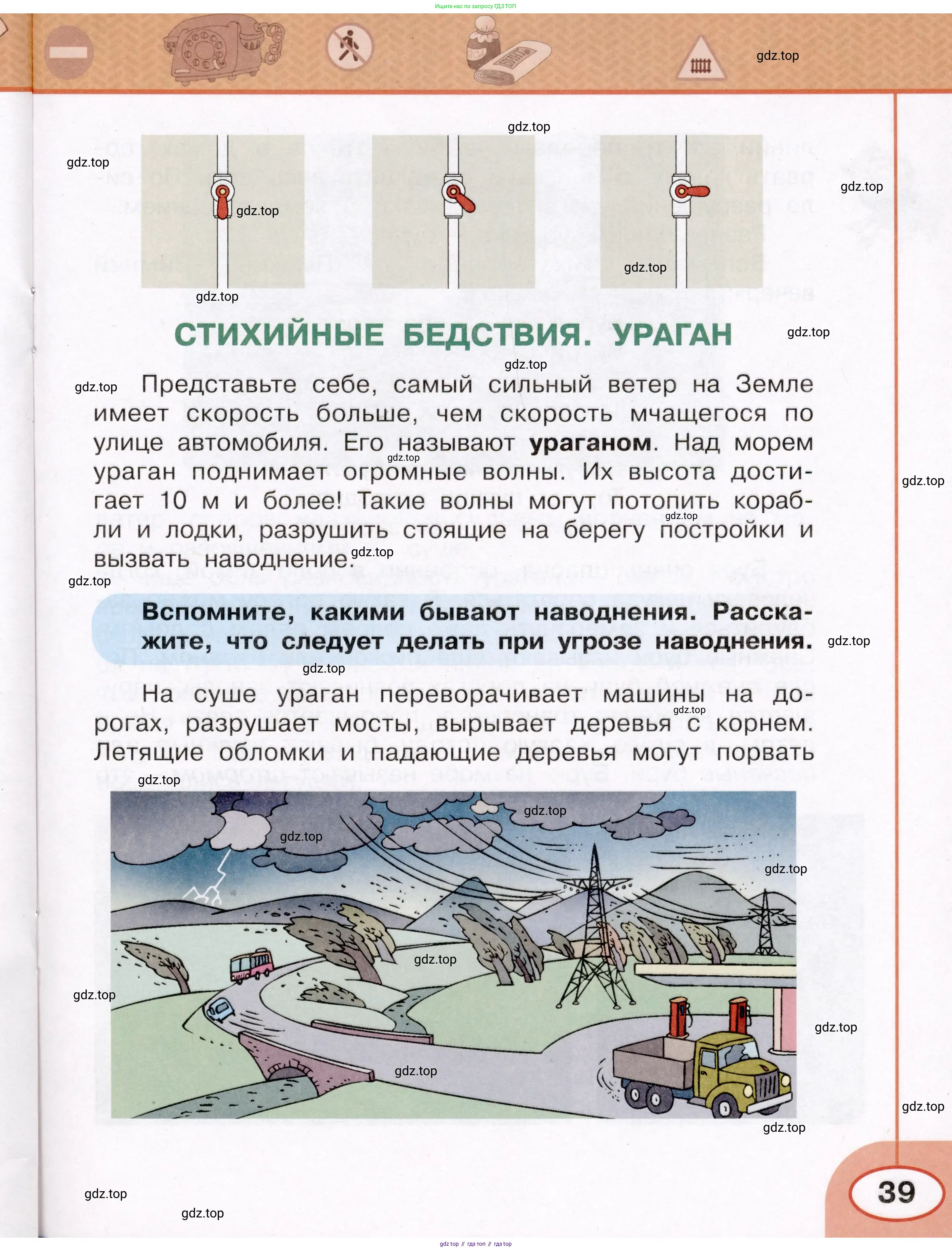 Окружающий мир, 3 класс рабочая тетрадь, автор: Ижевский Павел Владимирович, издательство Просвещение, Москва, 2019, белого цвета, страница 39