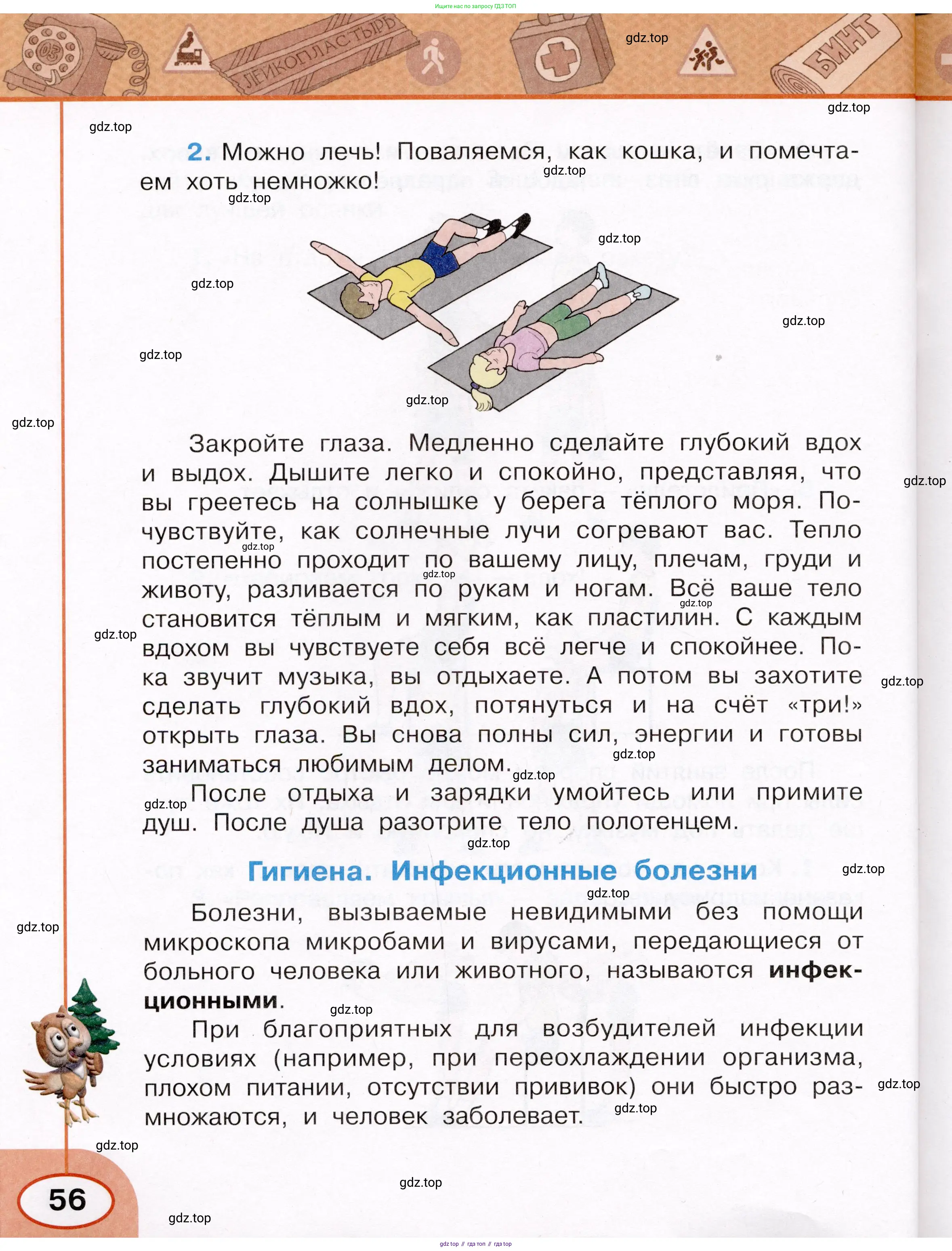 Окружающий мир, 3 класс рабочая тетрадь, автор: Ижевский Павел Владимирович, издательство Просвещение, Москва, 2019, белого цвета, страница 56