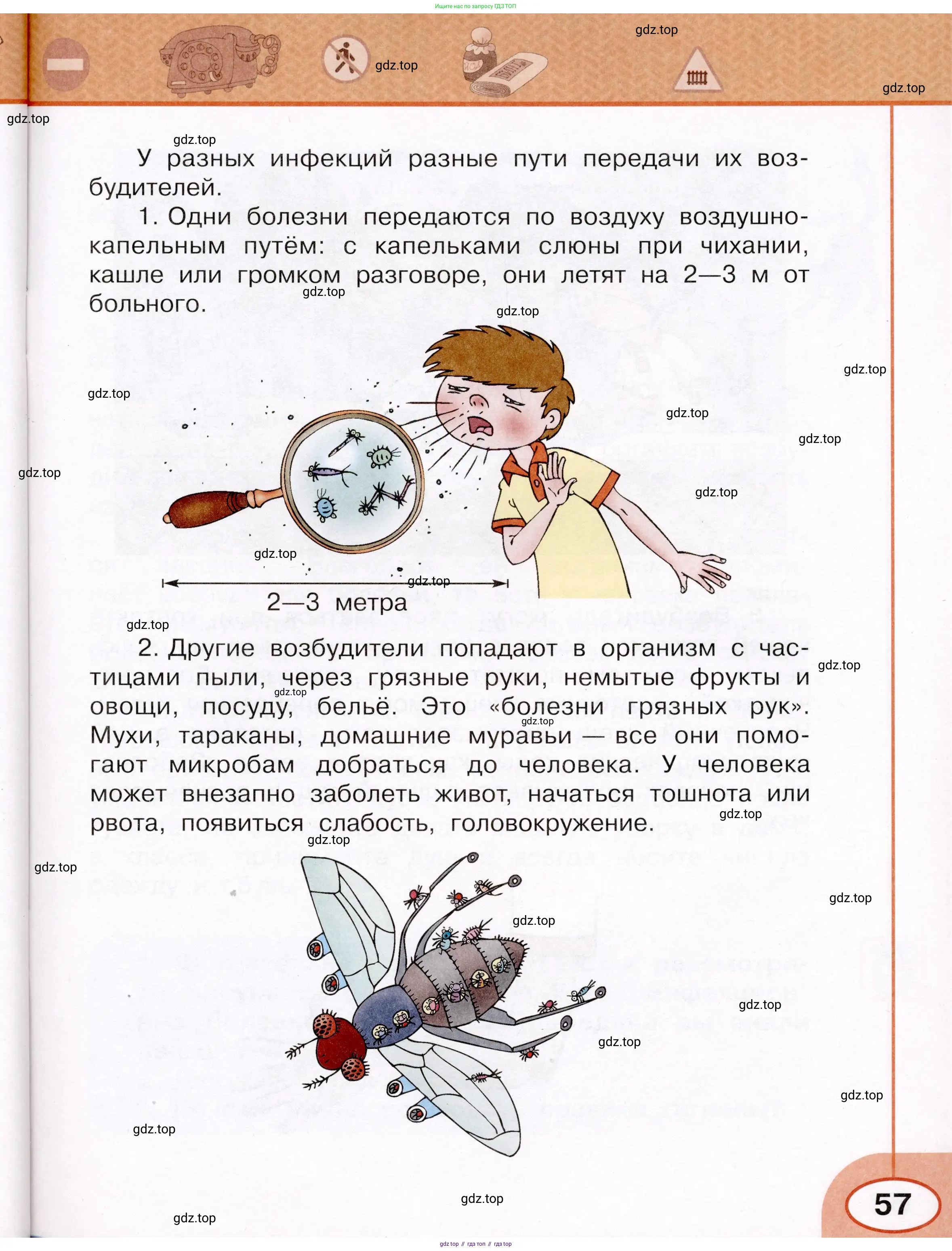 Окружающий мир, 3 класс рабочая тетрадь, автор: Ижевский Павел Владимирович, издательство Просвещение, Москва, 2019, белого цвета, страница 57
